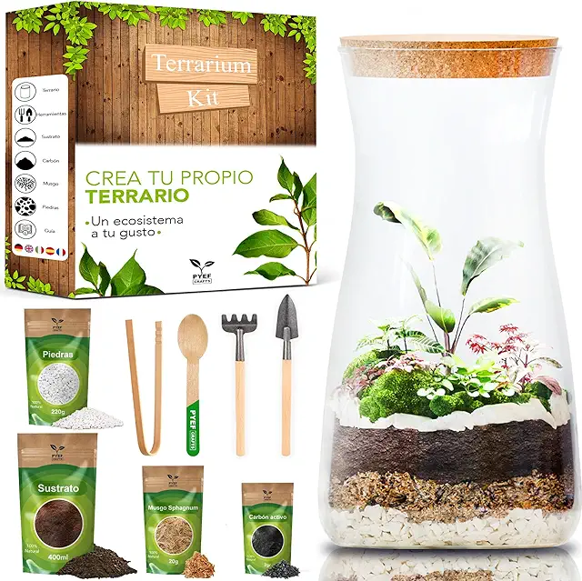 Kit Terrario DIY - Set Completo para Crear Ecosistema en Botella de Cristal