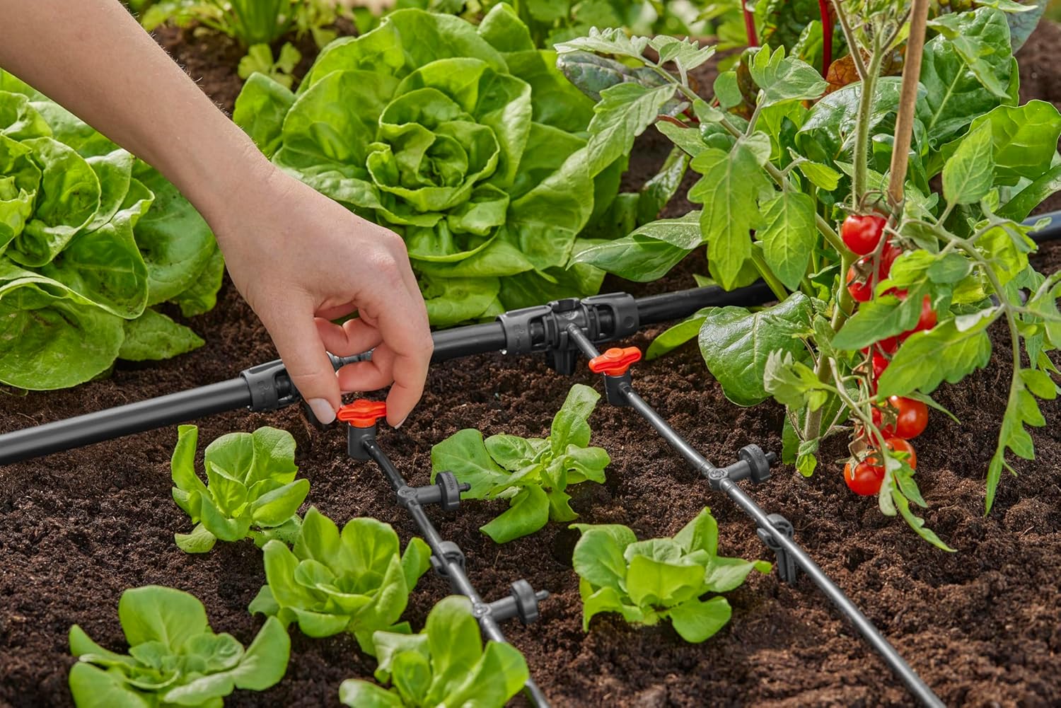 Gardena Micro-Drip-System Reducing T-Piece: Practical T-Connection for Transition Between 13-mm Pipe and 4.6-mm Pipe, Quick & Easy Connection Technology, Reusable (13204-20)