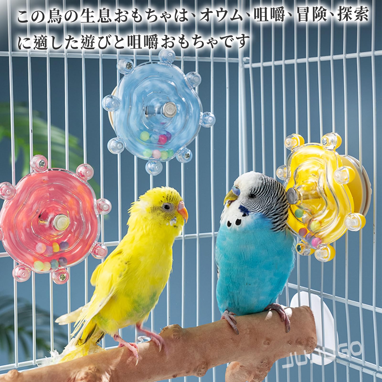 Amazon | JUJUGO インコ おもちゃ 鳥かじるおもちゃ 回転式おもちゃ