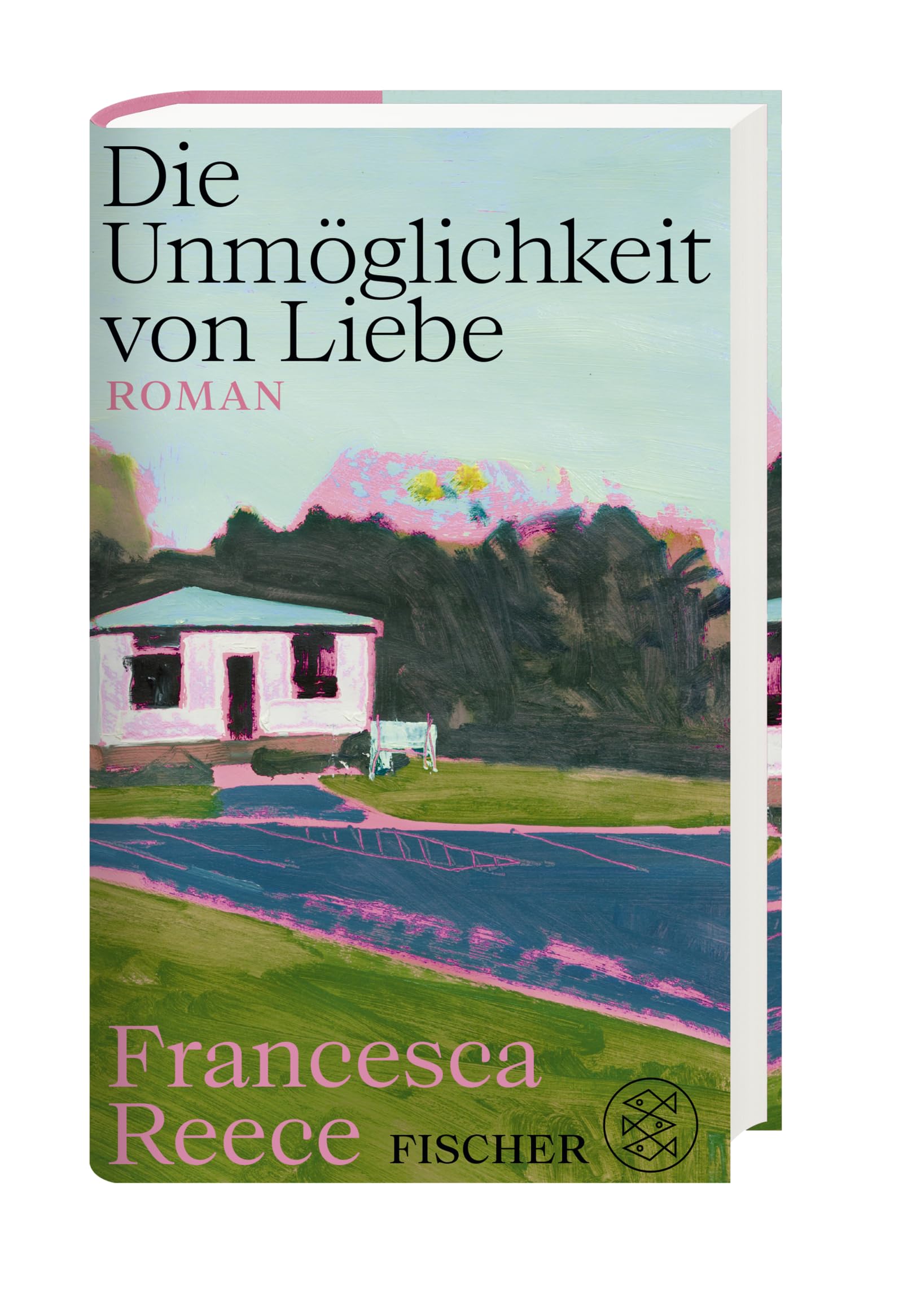 Die Unmöglichkeit von Liebe: Roman