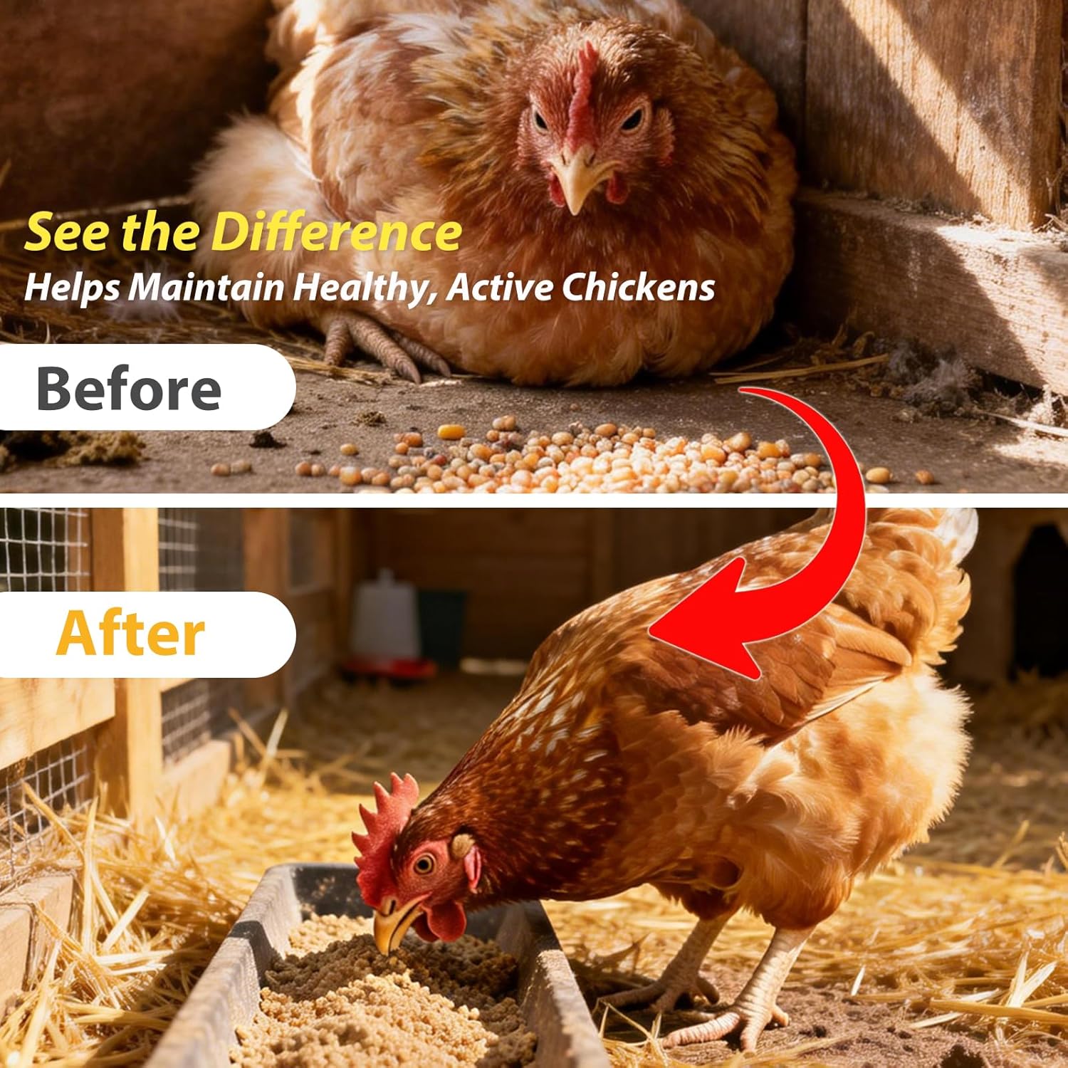 Chicken Dewormer for Chickens & Laying Hens, Fenbendazole Liquid Chicken Wormer, Easy Mix in Water, for Tapeworms Roundworms Hookworms, 100 mL