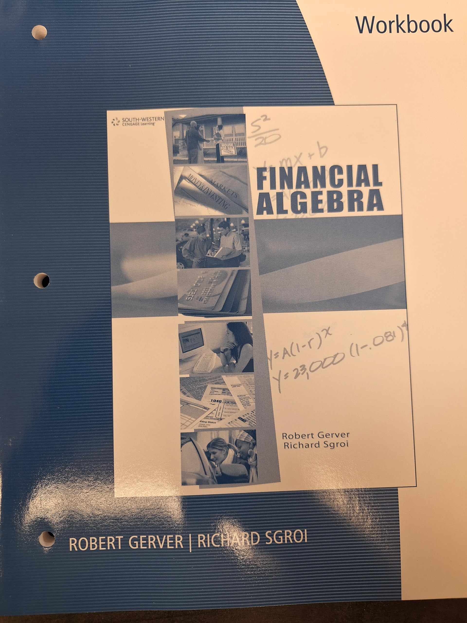Workbook for Gerver/Sgroi's Financial Algebra