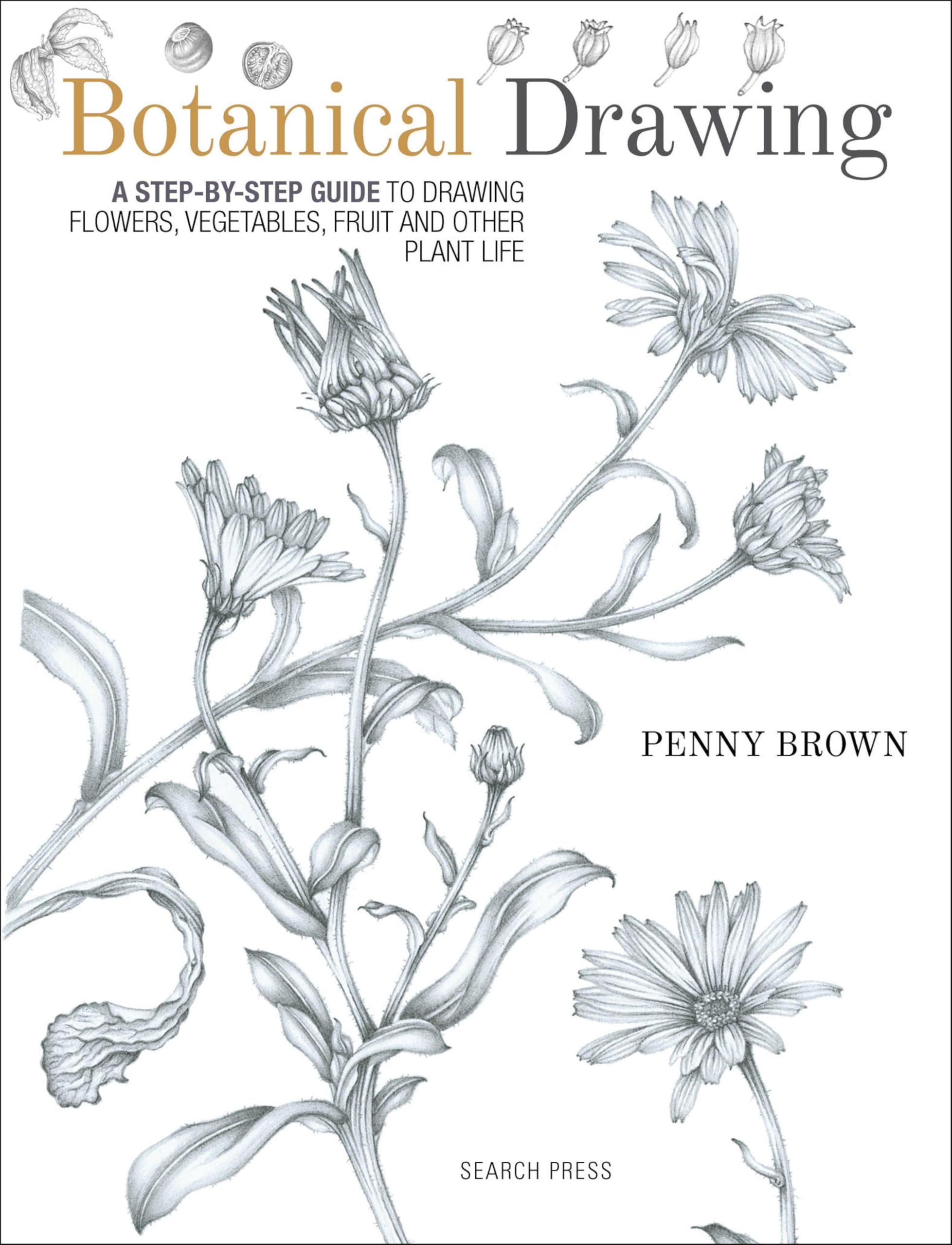 Botanical Drawing: A Step-By-Step Guide to Drawing Flowers, Vegetables, Fruit and Other Plant Life