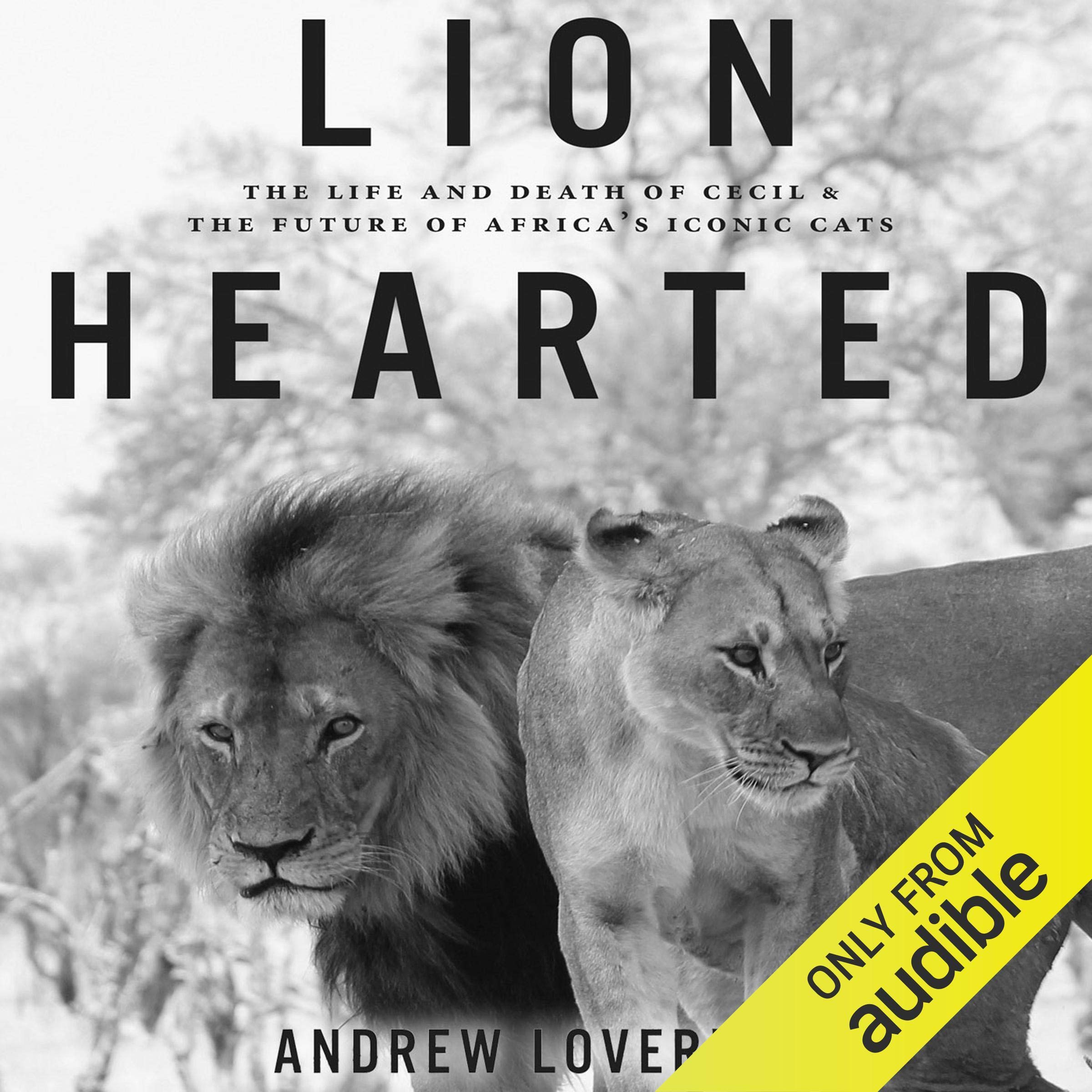 Cover art for Lion Hearted