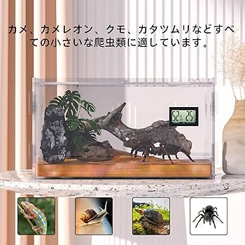 Amazon | トカゲ ケージ 爬虫類 ケージ 飼育ケース 温度湿度計
