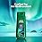 Irish Spring Icelandic Night Moisturizing Face and Body Wash for Men, 24 Hour Fresh, Paraben Free, Aromatic and Herbal Scent, 20 fl oz Bottle (Pack of 4)