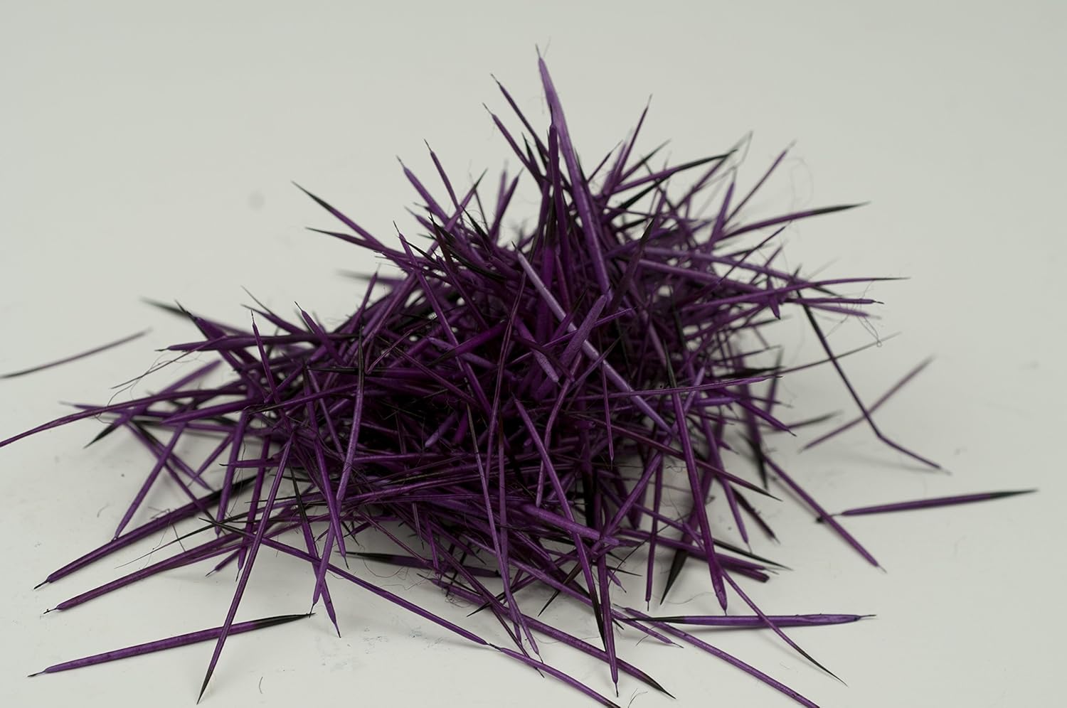 Porcupine Quills - Purple - 1 oz