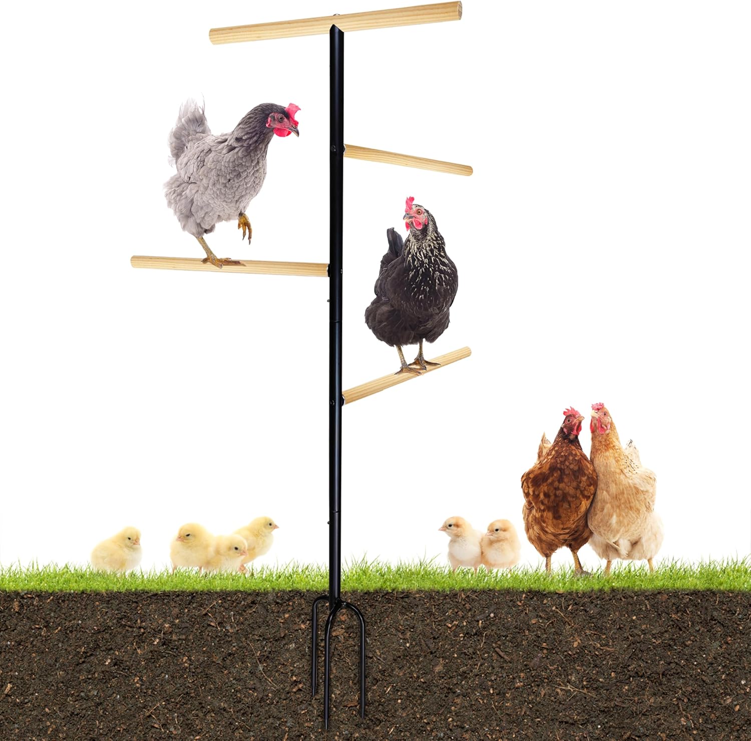 Extra Large Chicken Perch,Wooden Chicken Toys with Metal Ground Plug, Outdoor Birds Training Platform, Chicken Coop Accessories for Poultry Rooster Chicks Large Bird Chicks Parrot