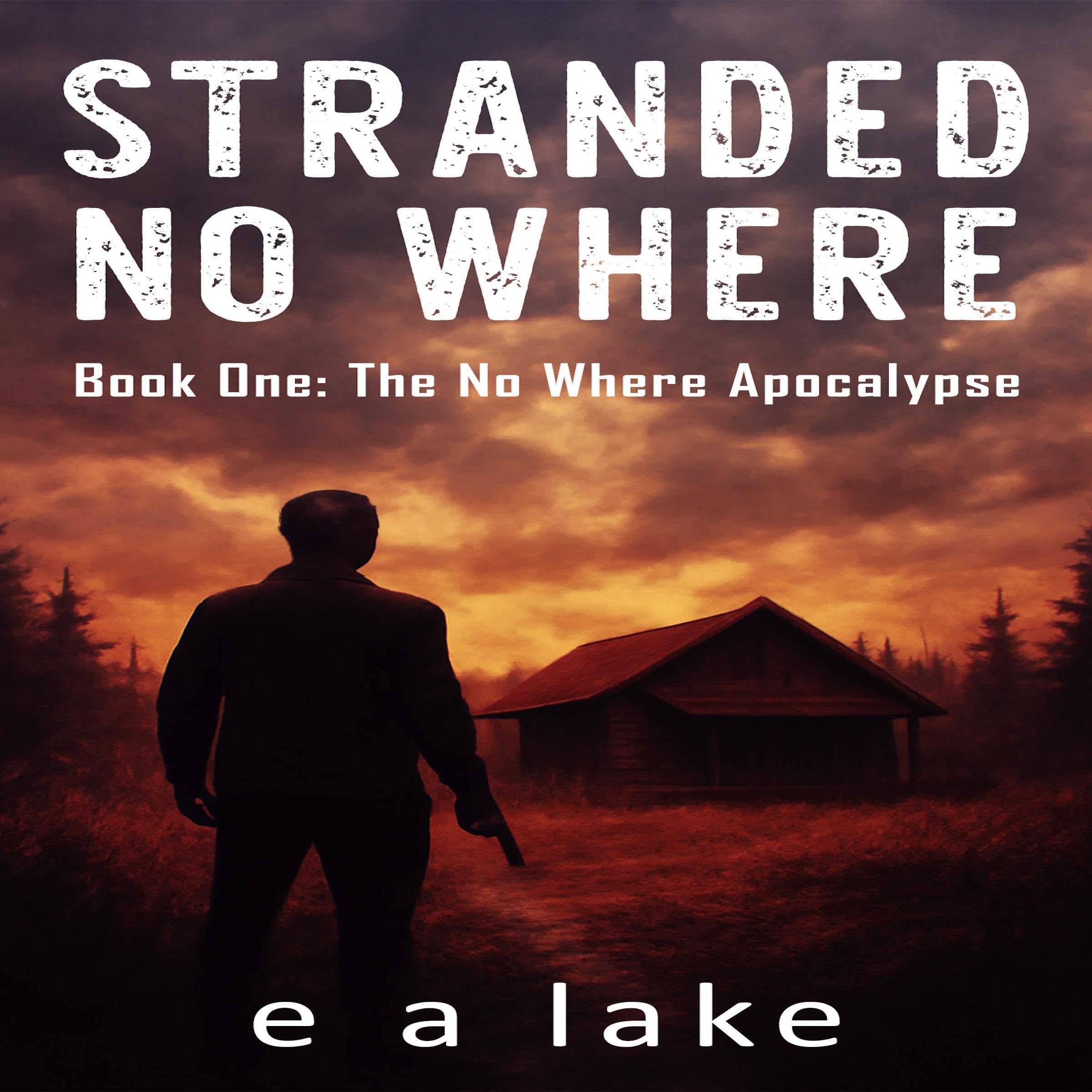 Cover art for Stranded No Where