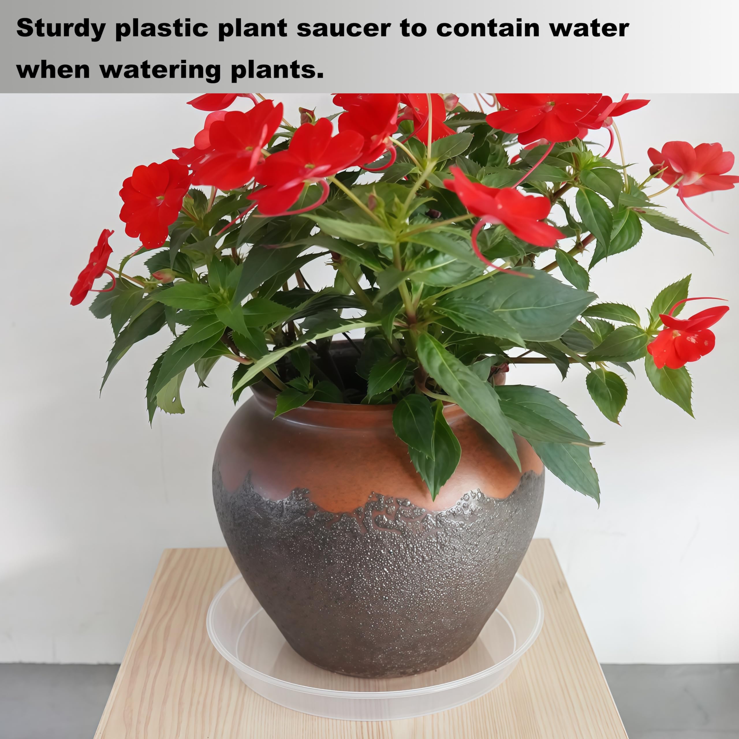 Plant Saucers - 2 Pack, Clear Drainage Trays -7 Plant Saucers - 2 Pack, Clear Drainage Trays -7