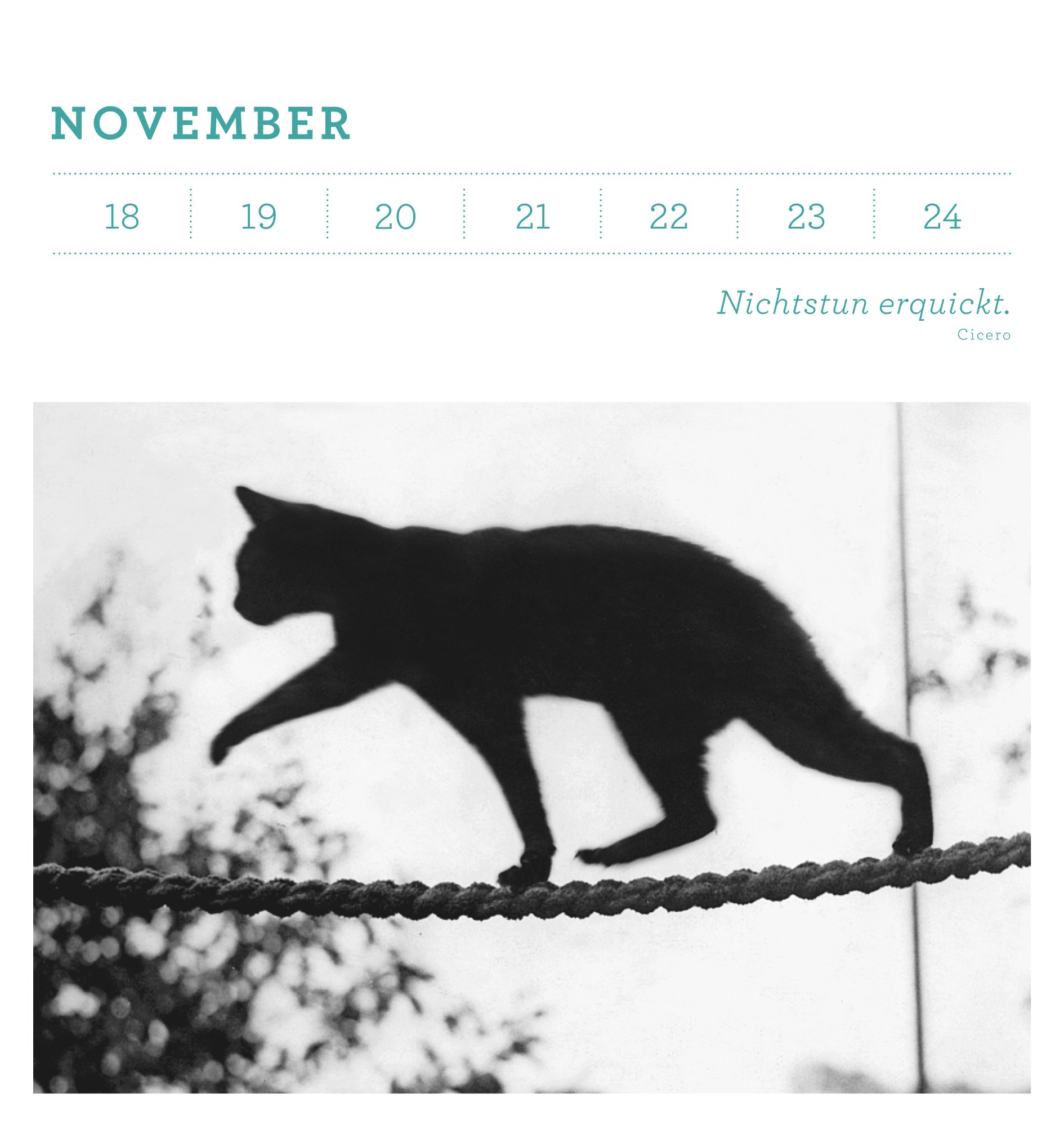 Eine Fotoreise durch das ganze Jahr: Immerwährender Tischkalender mit heraustrennbaren Postkarten