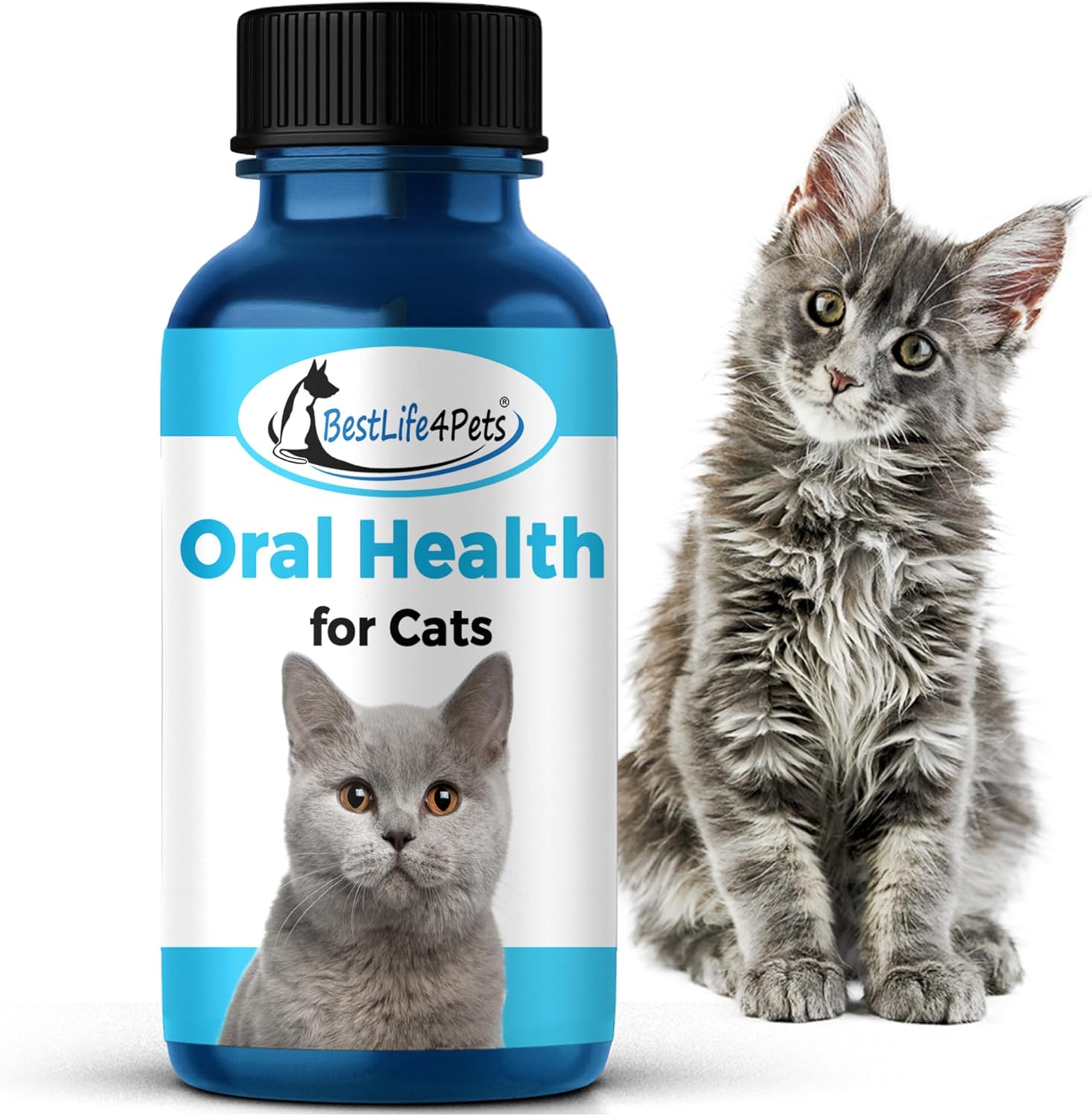 Cat Toothpaste For Gingivitis