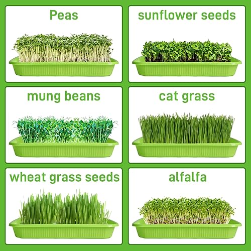 Miniatura 7 de Paquete de 5 bandejas de germinado de semillas para microverdes, kit de cultivo de brotes sin tierra, gran capacidad para el hogar, oficina, jardín