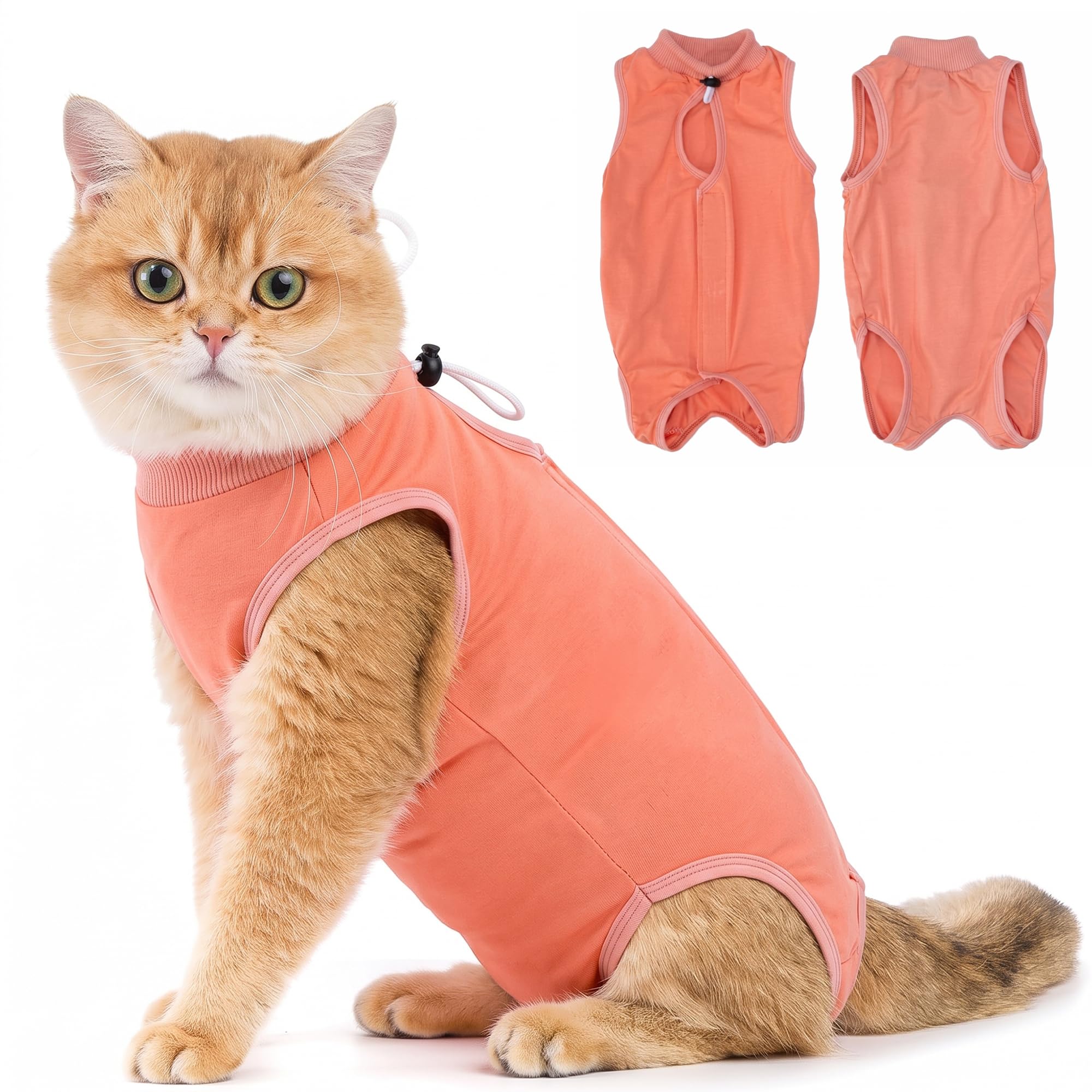 Amazon.com: Avont Cat Recovery Suit - Kitten Onesie for Cats After