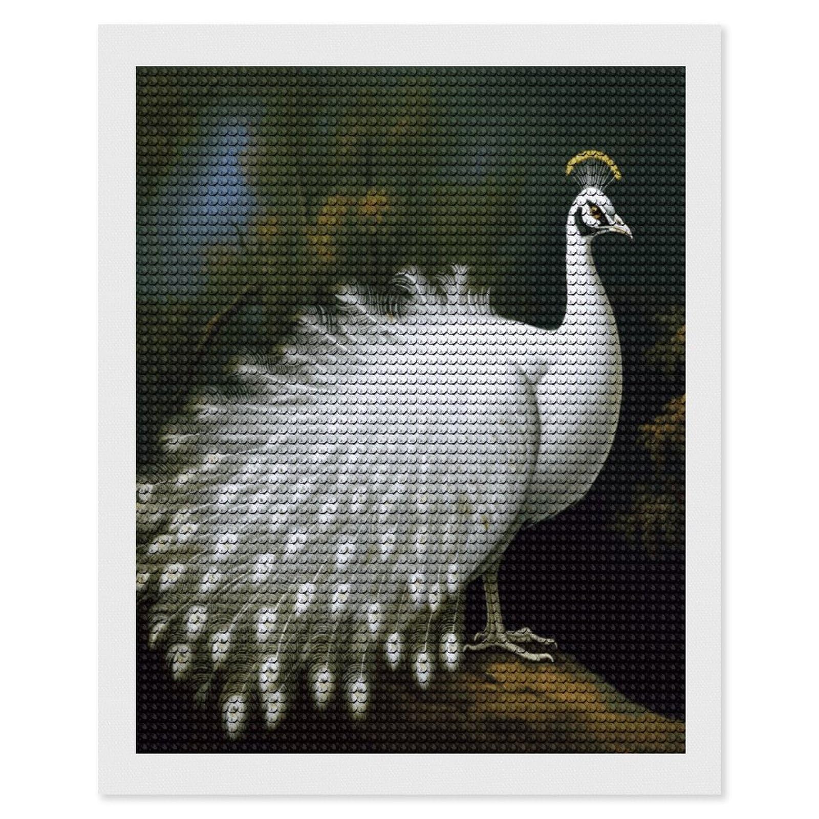 FekiLoot White Peacock Diamond Art Kits for Adults Diamond Painting Kits for Beginners DIY Diamond Art Kits Round Full Drill Diamond Dot Gem Painting for Home Wall Decor Gift 16"x20"