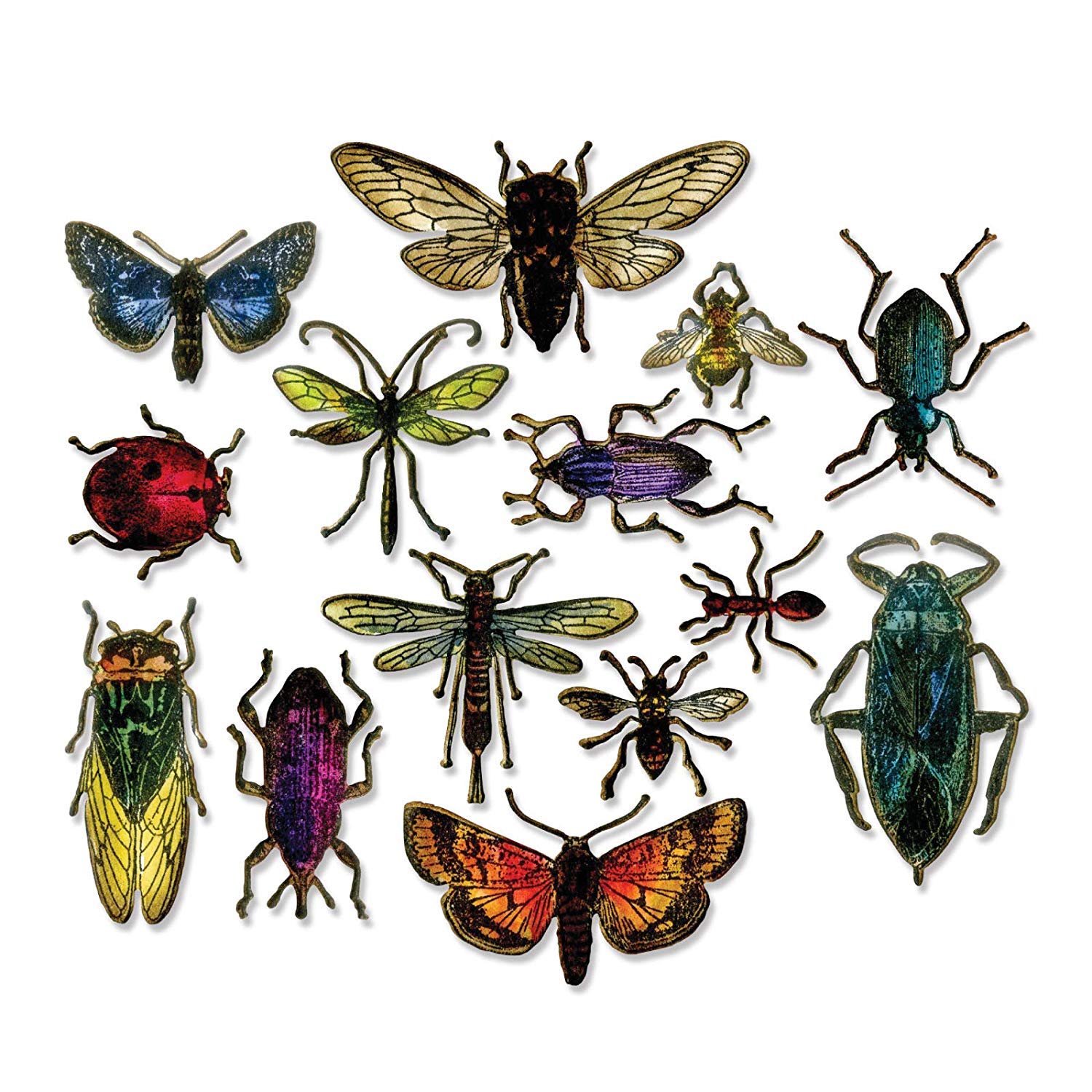 Tim Holtz Entomology – Stampers Anonymous Haftstempel und Sizzix Framelits Stanzschablonen-Set – 2-teiliges Set