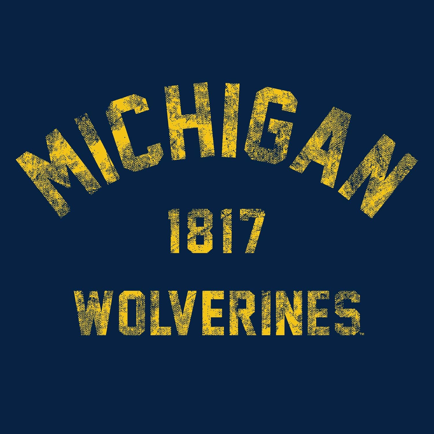 UGP Campus Apparel UGP Campus Apparel NCAA Vintage Year Arch, Team Color Hoodie, College, University