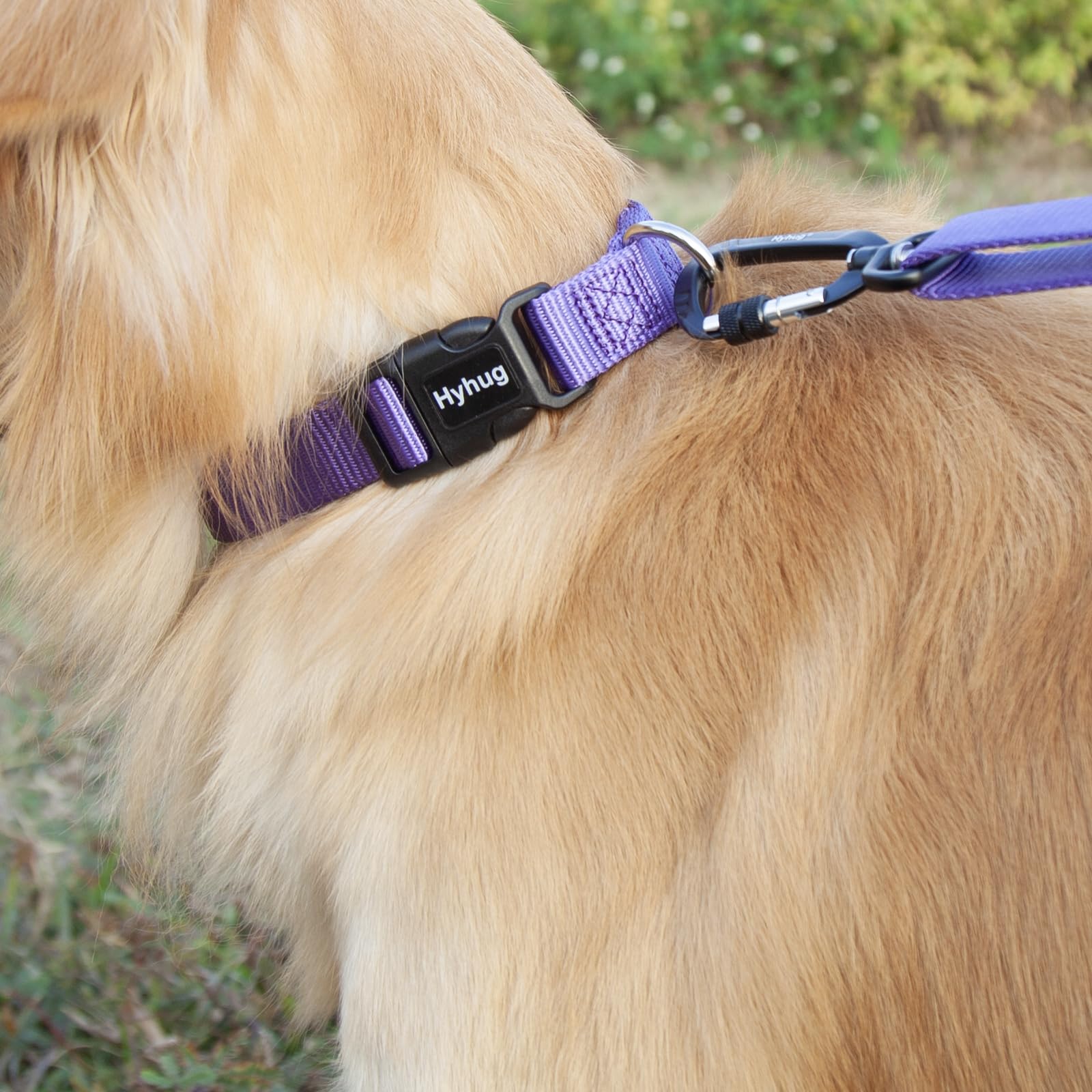 Collare Per Cane Taglia Media/Grande - Regolabile, Con Fibbia Triglide, Giallo Luminoso - Foto 11