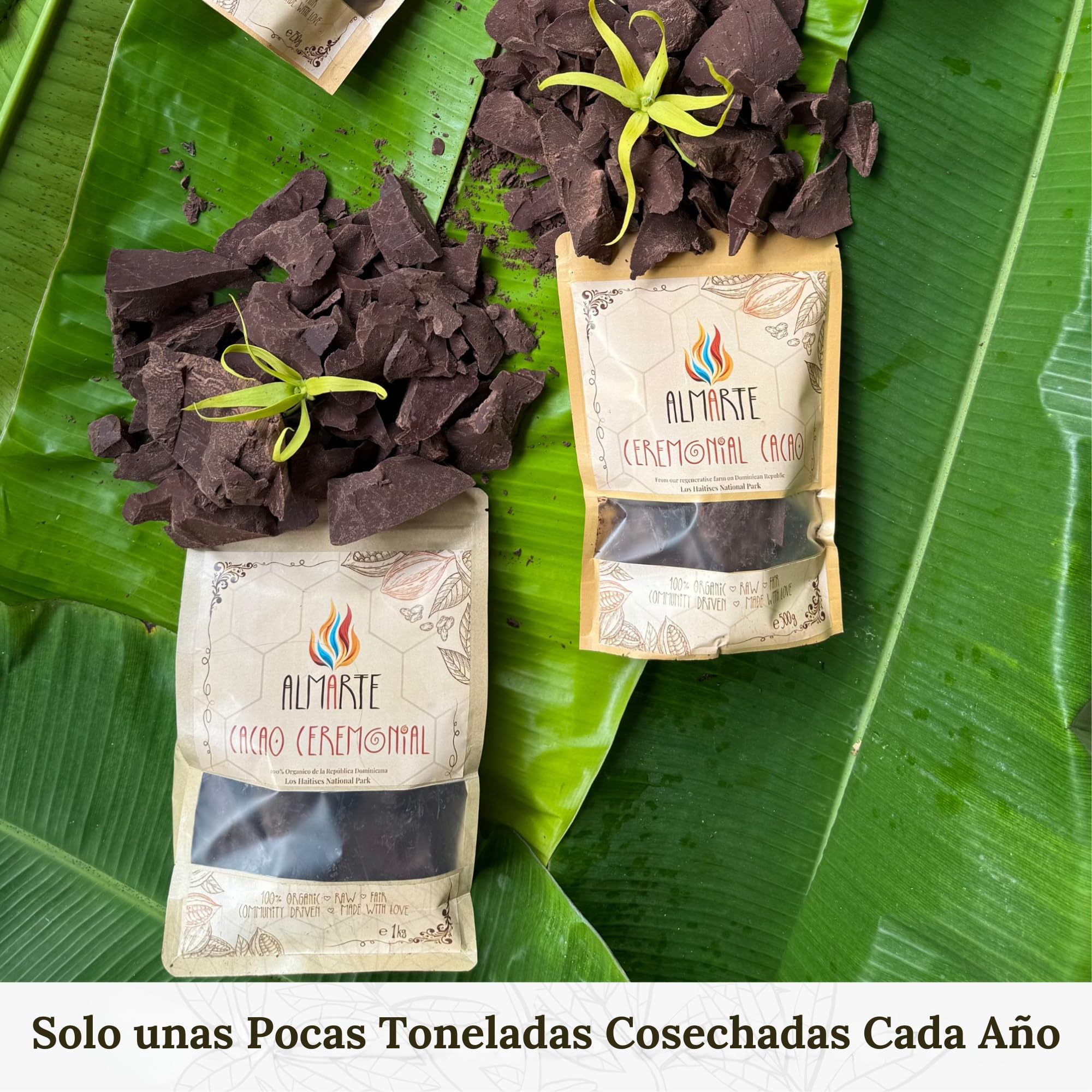 ALMARTE Cacao ceremonial, 250 g, 100% crudo y puro, República Dominicana | Medicina abridora de corazón | Single Origin Bio | Granja regenerativa | Teobromina Energía | Sustituto de café