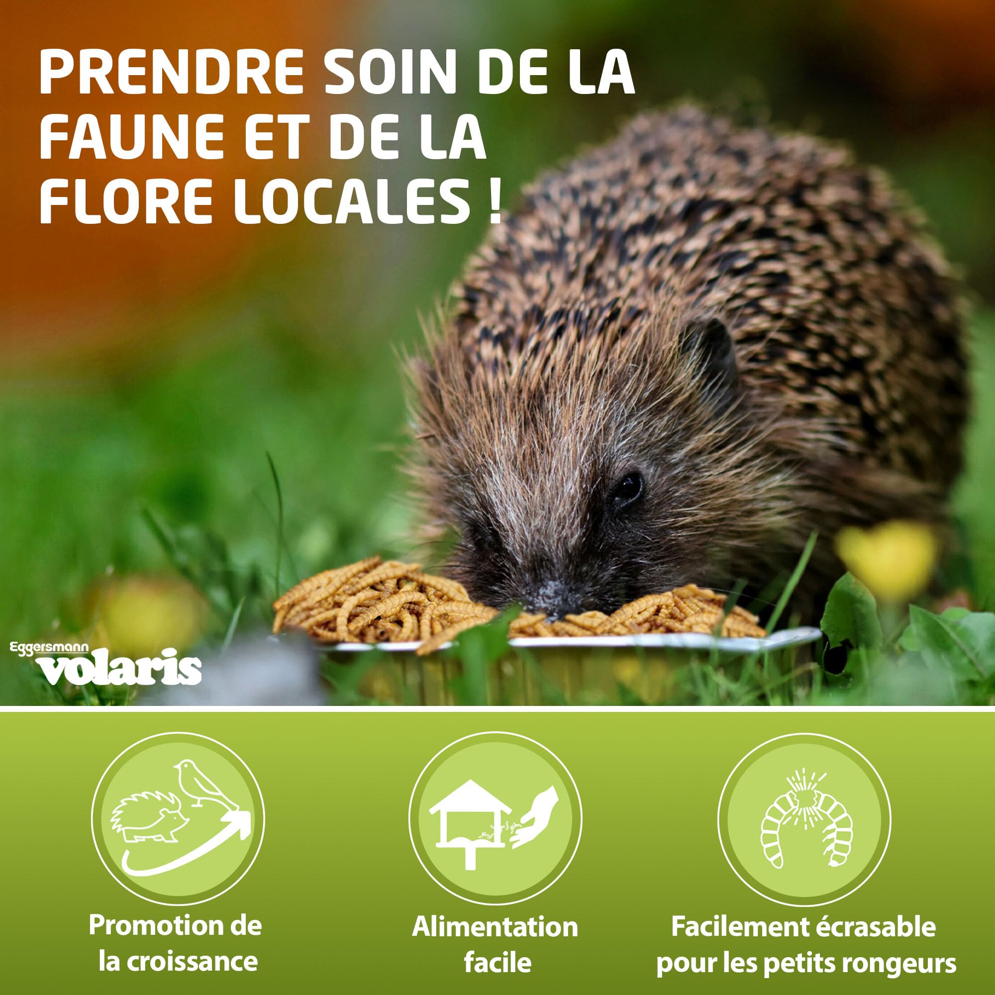 Eggersmann volaris 5 kg de vers de Farine séchés | Riche en protéines & Naturel | Idéal pour Tous Les Types d'oiseaux | Nourriture pour Oiseaux Sauvages Toute l'année
