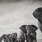 Review Image by Niki Niki