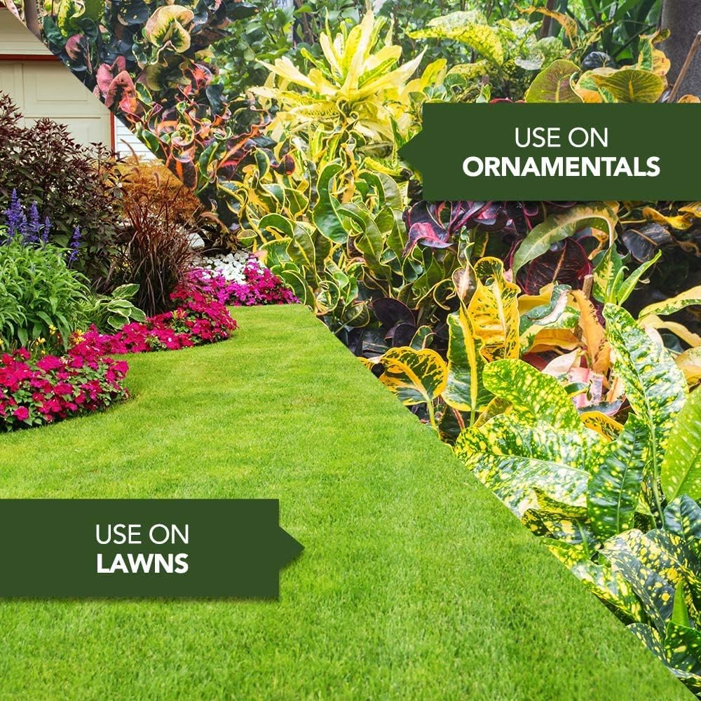 BioAdvanced Bermudagrass Control for Lawns, Ready-to-Spray, 32 oz with BioAdvanced All-in-One Lawn Weed and Crabgrass Killer I, Concentrate, 40 oz : Patio, Lawn & Garden