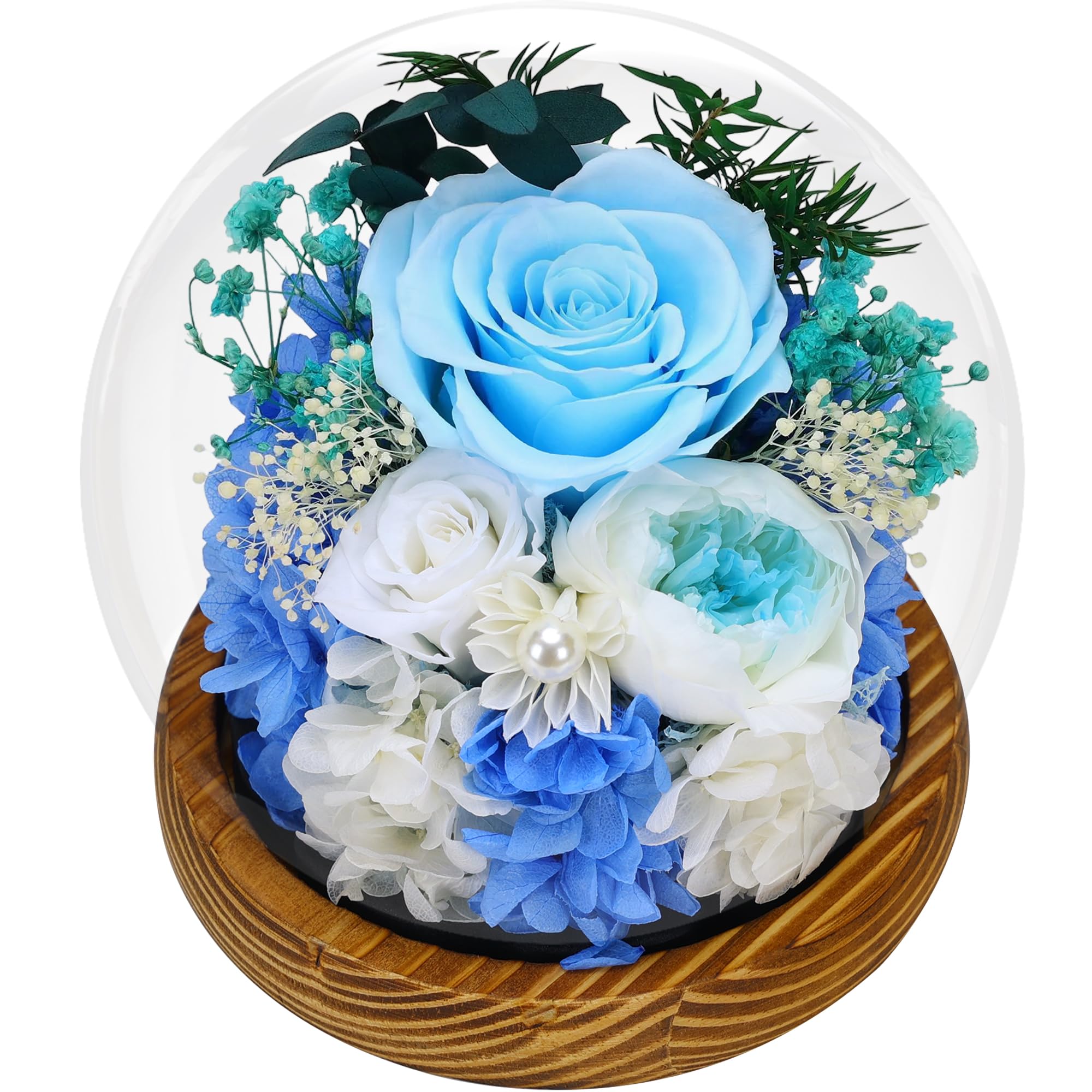 SAKSUN Preserved Flowers Birthday Gifts for Women: Flowers for Delivery Prime - Rose in Glass Dome & LED Light - Eternal Love Colorful for Mom Wife
