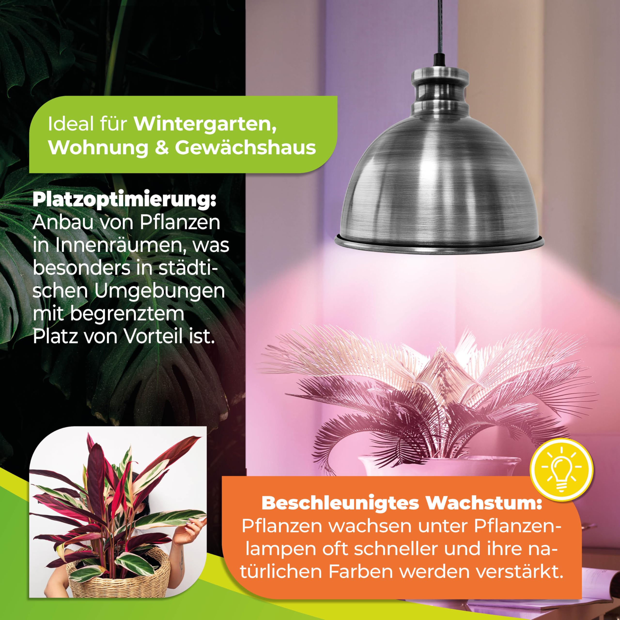Bio Green Pflanzenleuchte FLORABOOSTER 500 - Zink | LED Vollspektrum | Maximales Wachstum | Gewächshauslampe | Grow Light für Gemüse- & Zimmerpflanzen