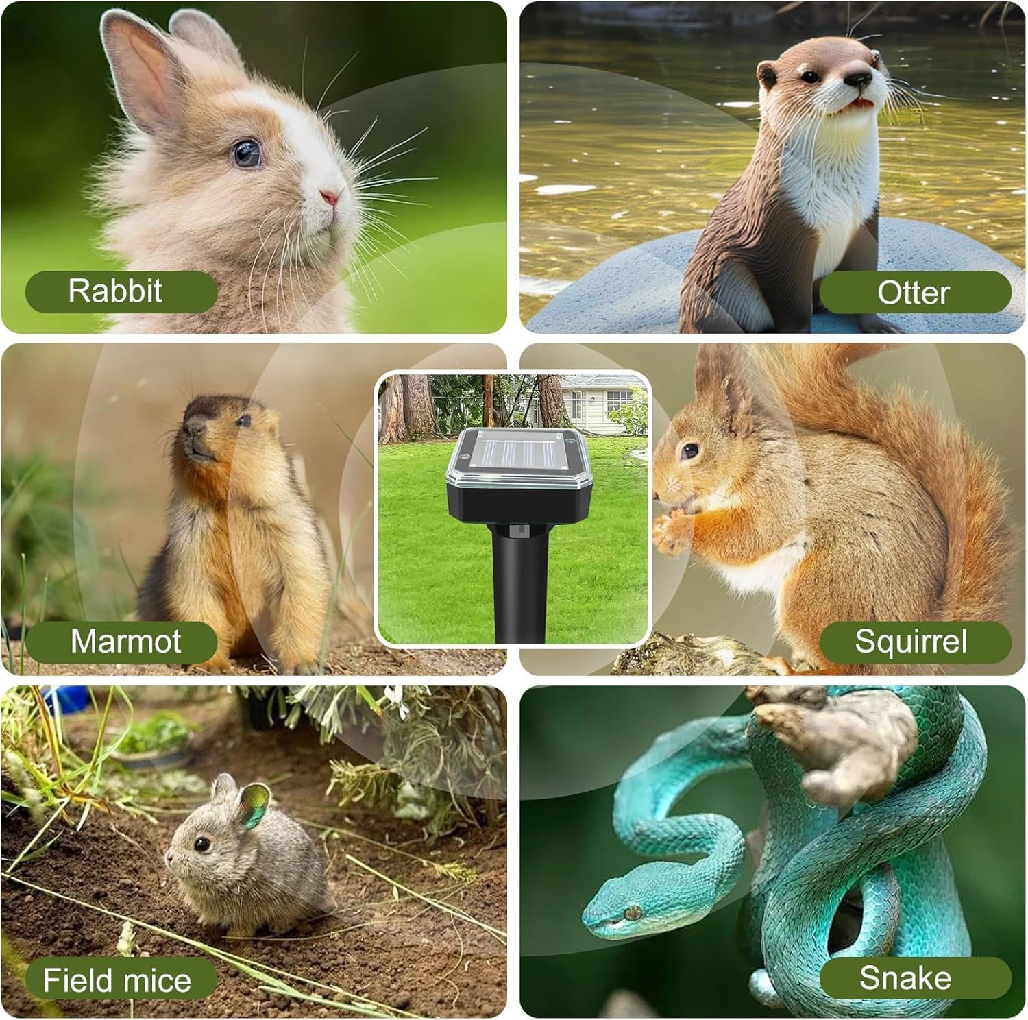 8 Pack Ultrasonic Mole Repellent,Solar Powered Gopher Mole Repellent Stakes for Chipmunks,Snake,Gophers,Voles,Waterproof Sonic Moles Deterrent for Outdoor Garden,Home (8 Pack)