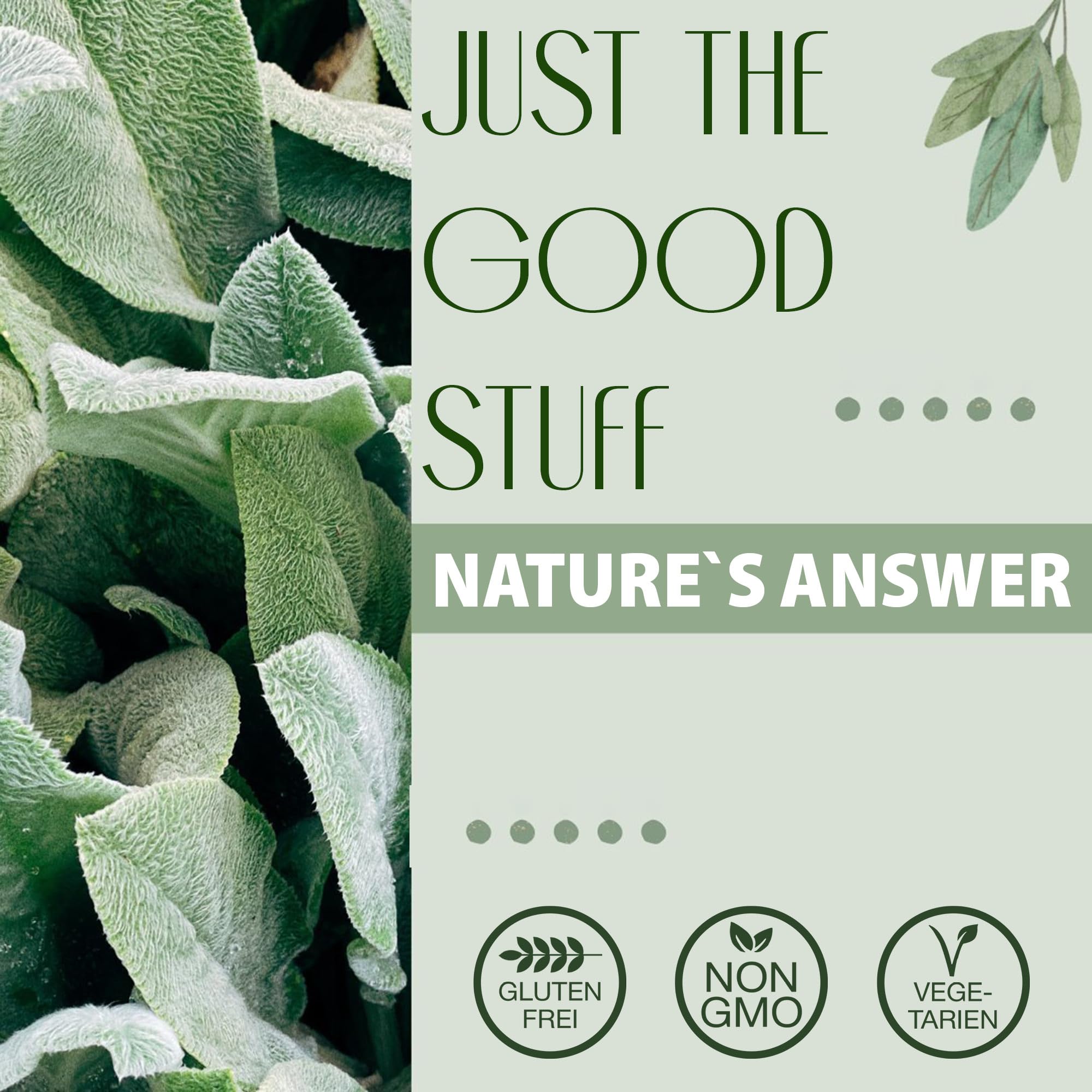 Nature's Answer, Licorice Root, 2.000mg, 30ml, Testé en Laboratoire, Sans Gluten, Sans Soja, Végétarien, racine de réglisse sous forme d'extrait liquide
