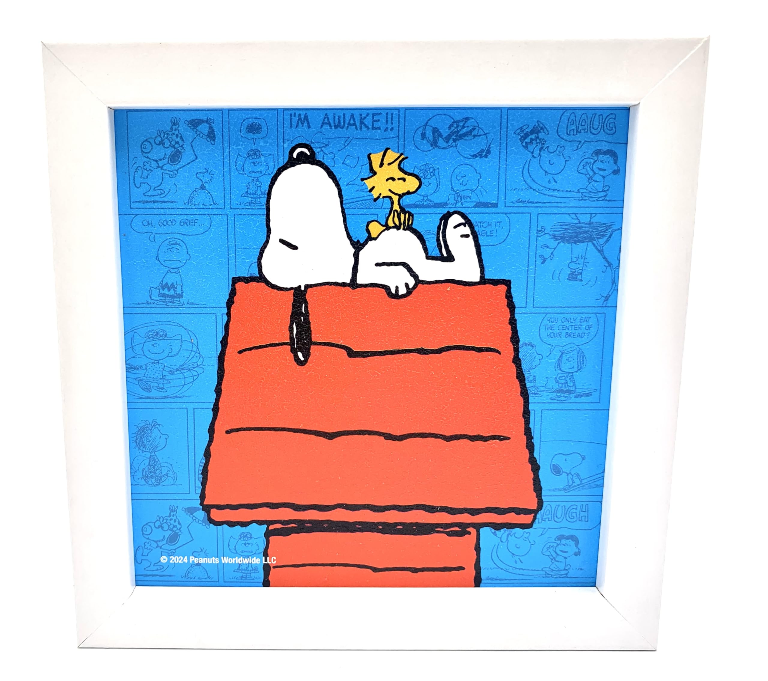 Amazon.com: Silver Buffalo Peanuts Snoopy and Woodstock on Dog