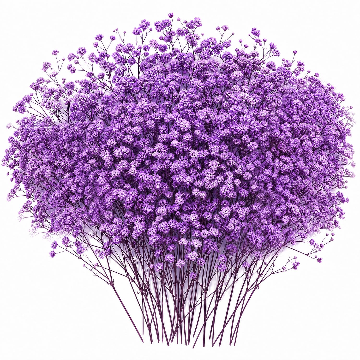 100Pcs Real Natural Dried Gypsophila Flowers, Purple Dried Flowers