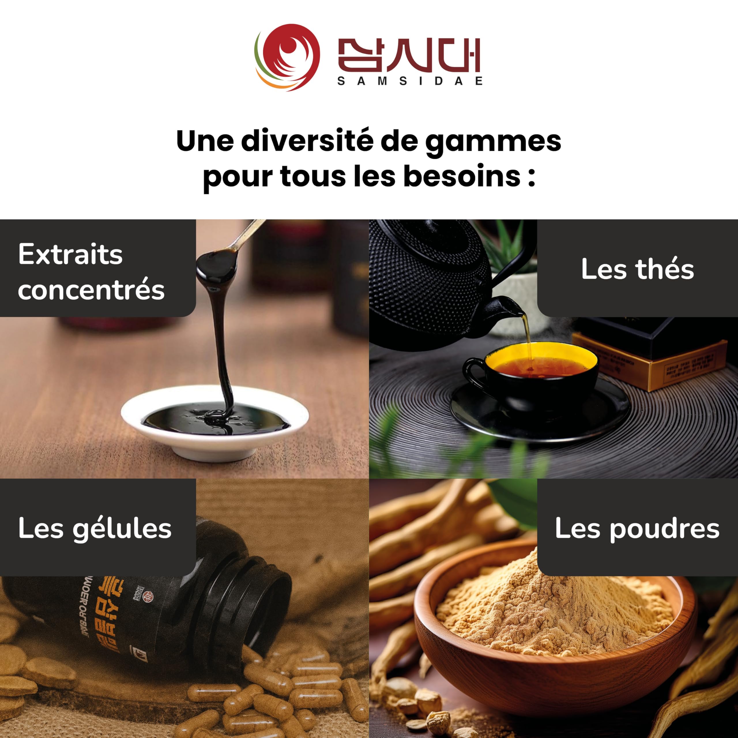SAMSIDAE - Extrait de Ginseng Noir Coréen, Renforcé en Ginsénosides, Saponines 80 mg/g, Racines de 4 à 6 ans, Qualité Supérieure, Cure de 45 Jours, 50g