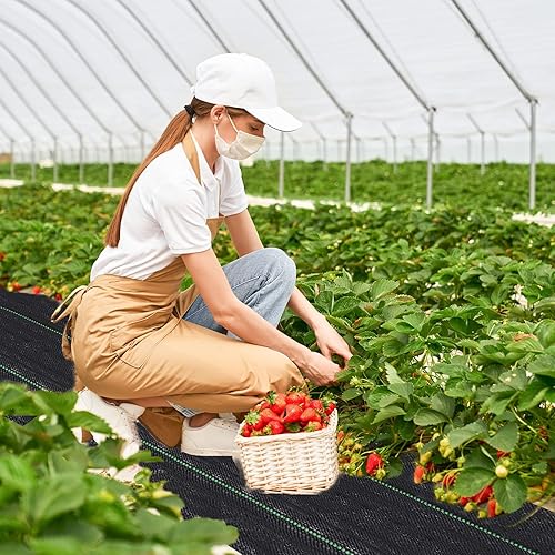 Miniatura 6 de TOPHOUSE Tela de paisaje resistente de 3 x 50 pies, barrera de malezas para huerto (3.2 onzas)