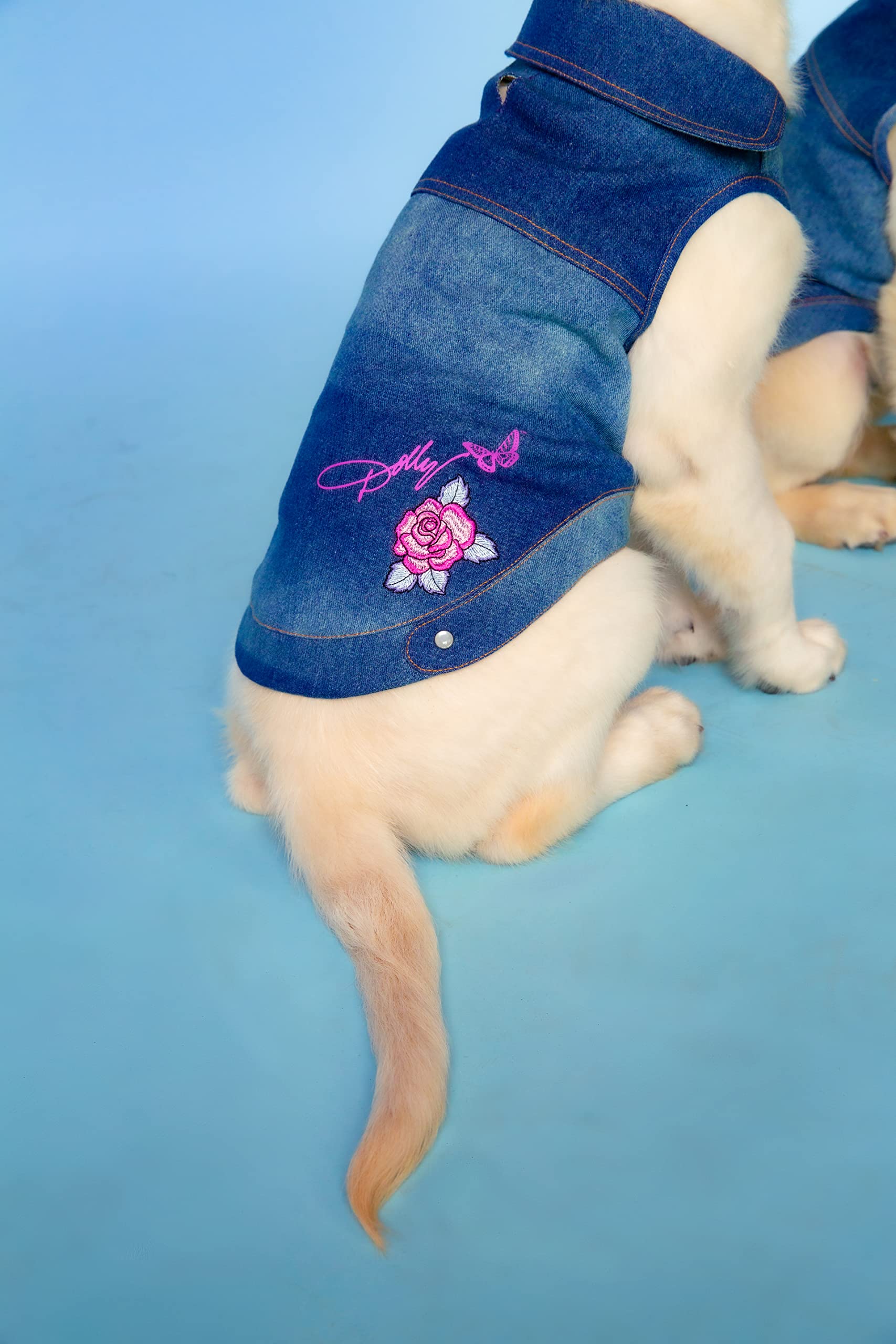 Dolly Doggy Parton - Chaqueta Vaquera Azul con Cuello para Perros, Ropa para Perros