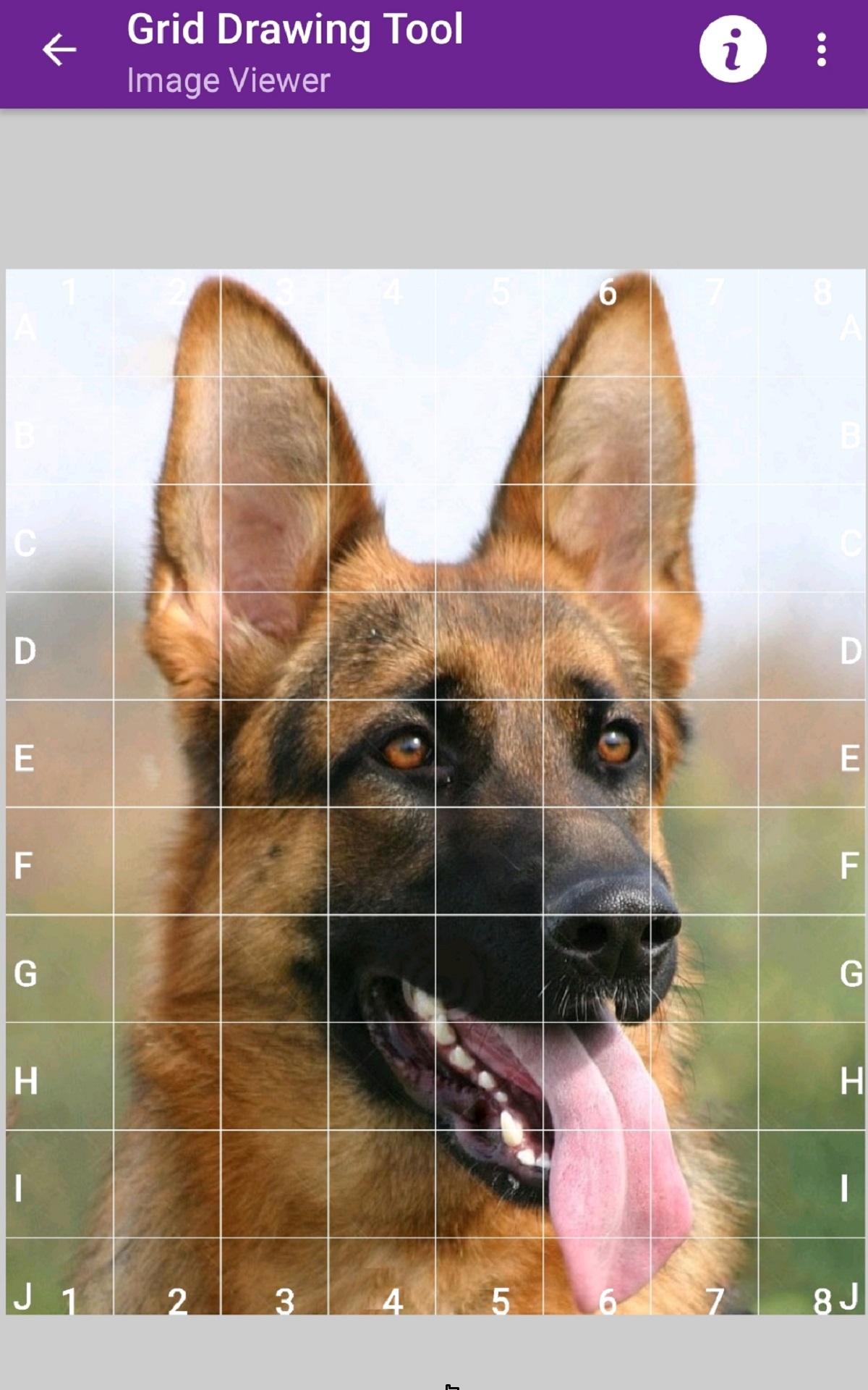Grid Drawing Tool - App on Amazon Appstore