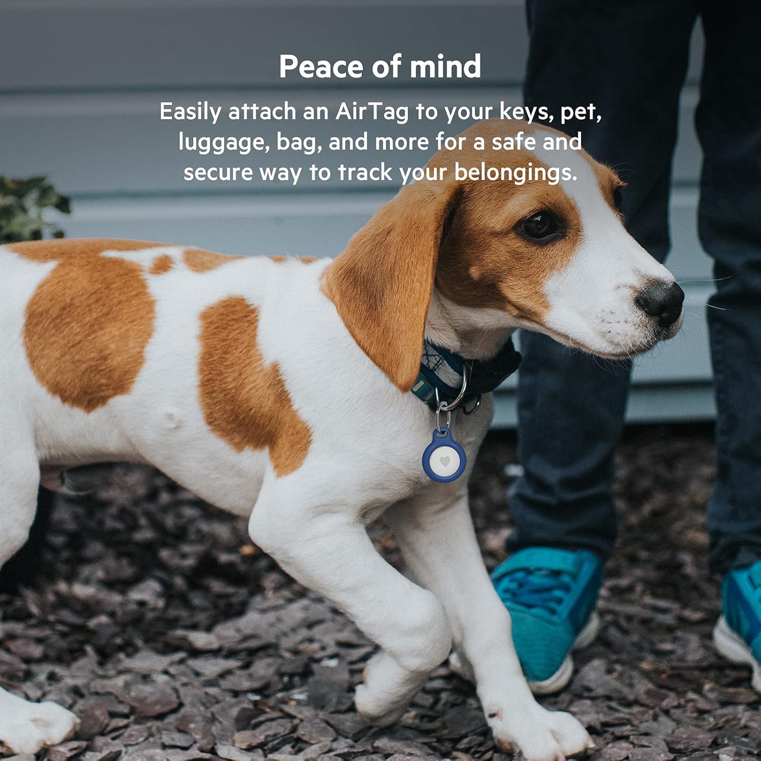 Belkin AirTag Case with Key Ring, Secure Holder Protective Cover for Air Tag with Scratch Resistance Accessory (2 pack) - blue : Electronics