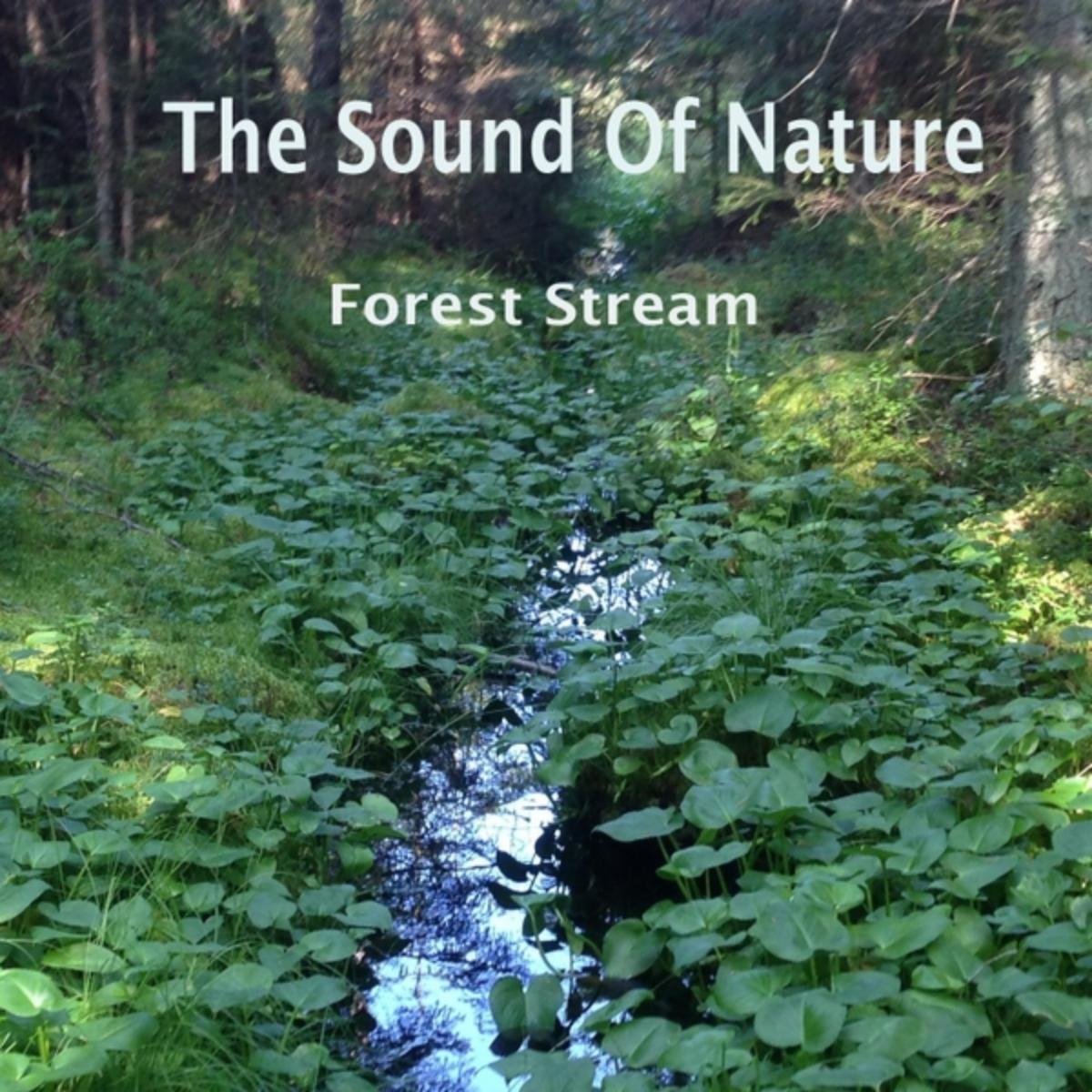 The Sound of Nature