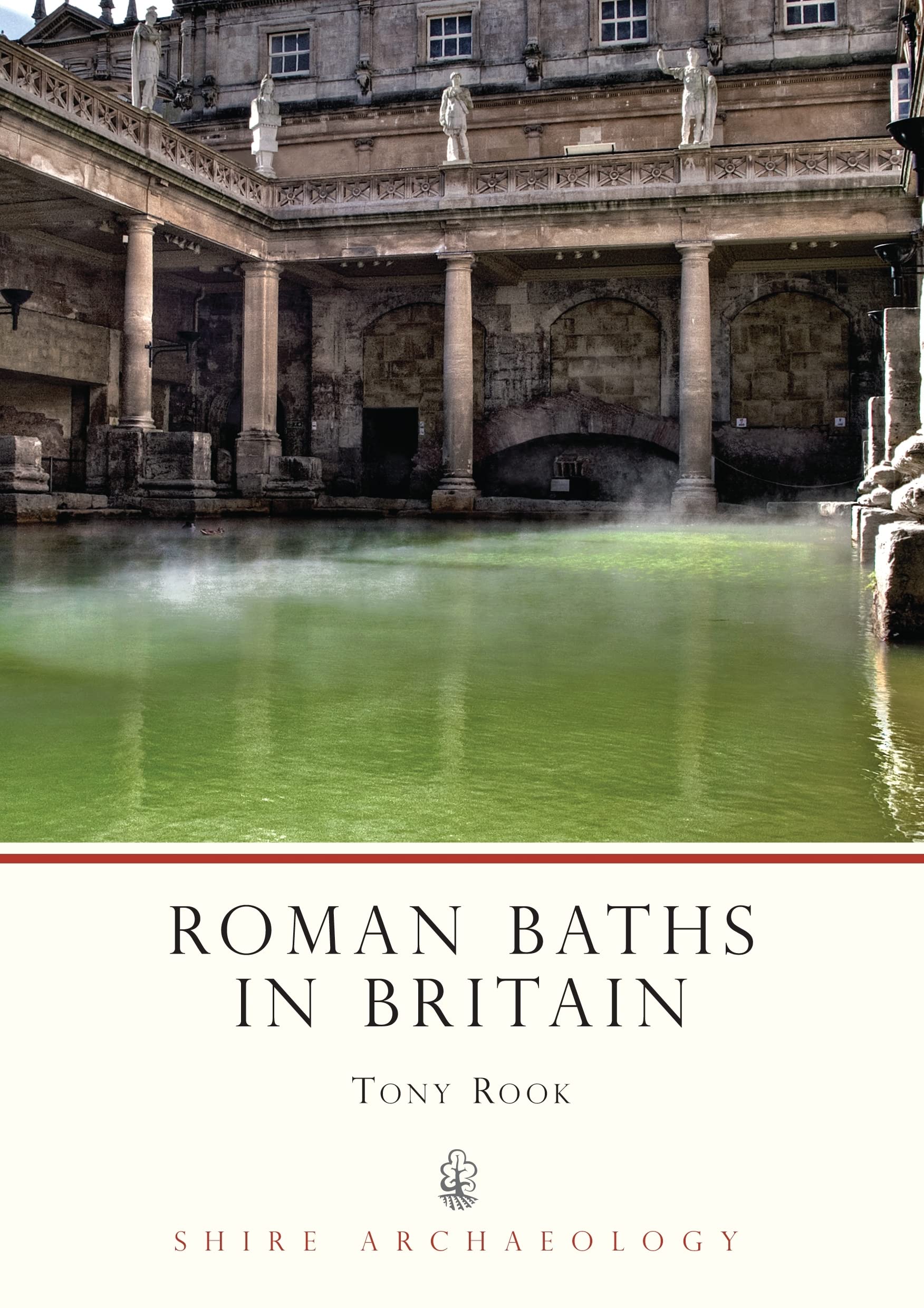 Roman Baths in Britain: No. 69 (Shire Archaeology)
