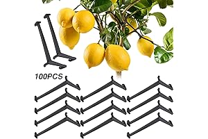 100-Piece Potent Branch Spreaders for Boosted Growth and Strong Crotch Angles