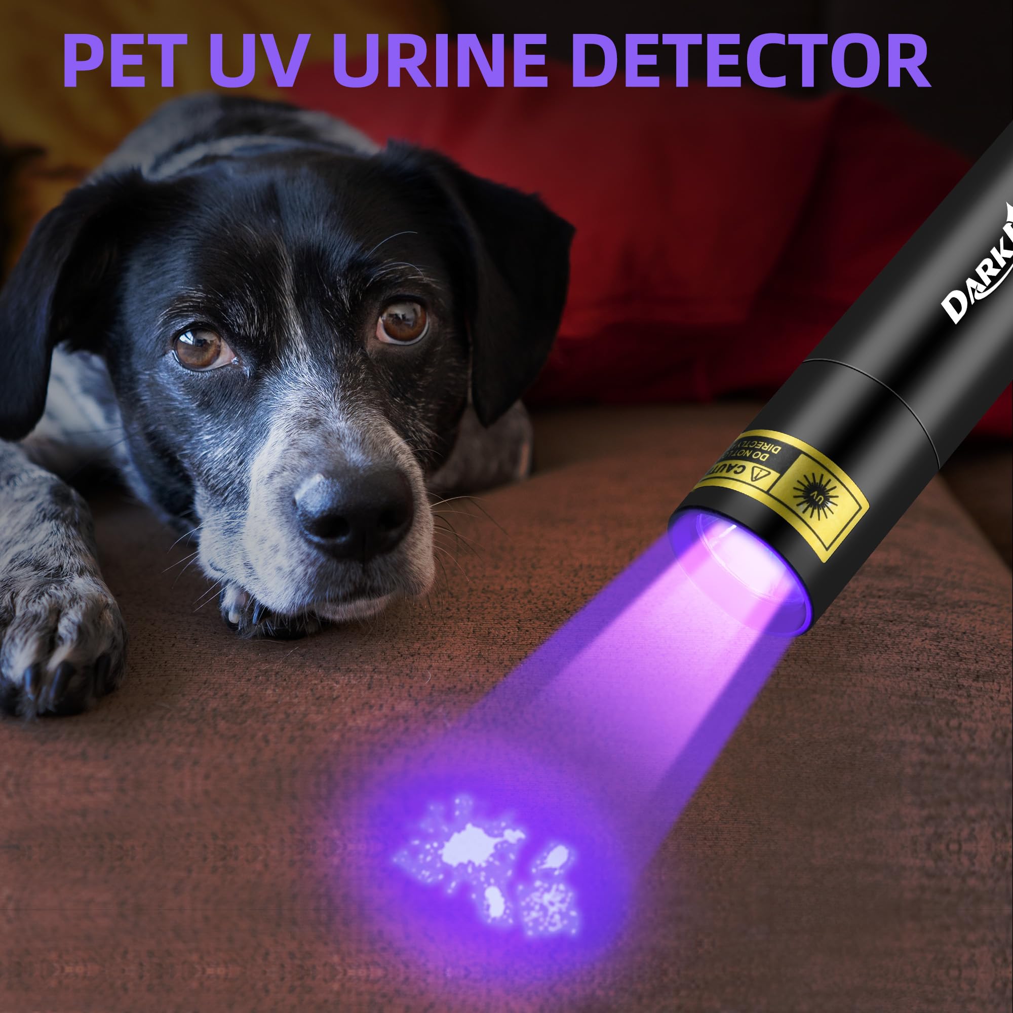 DARKDAWN torcia UV 395 NM, USB-C torcia ricaricabile LED Woods lampada, mini potente portatile portatile luce nera, rivelatore per cane domestico urina secca, rilevazione fluorescente, scorpione