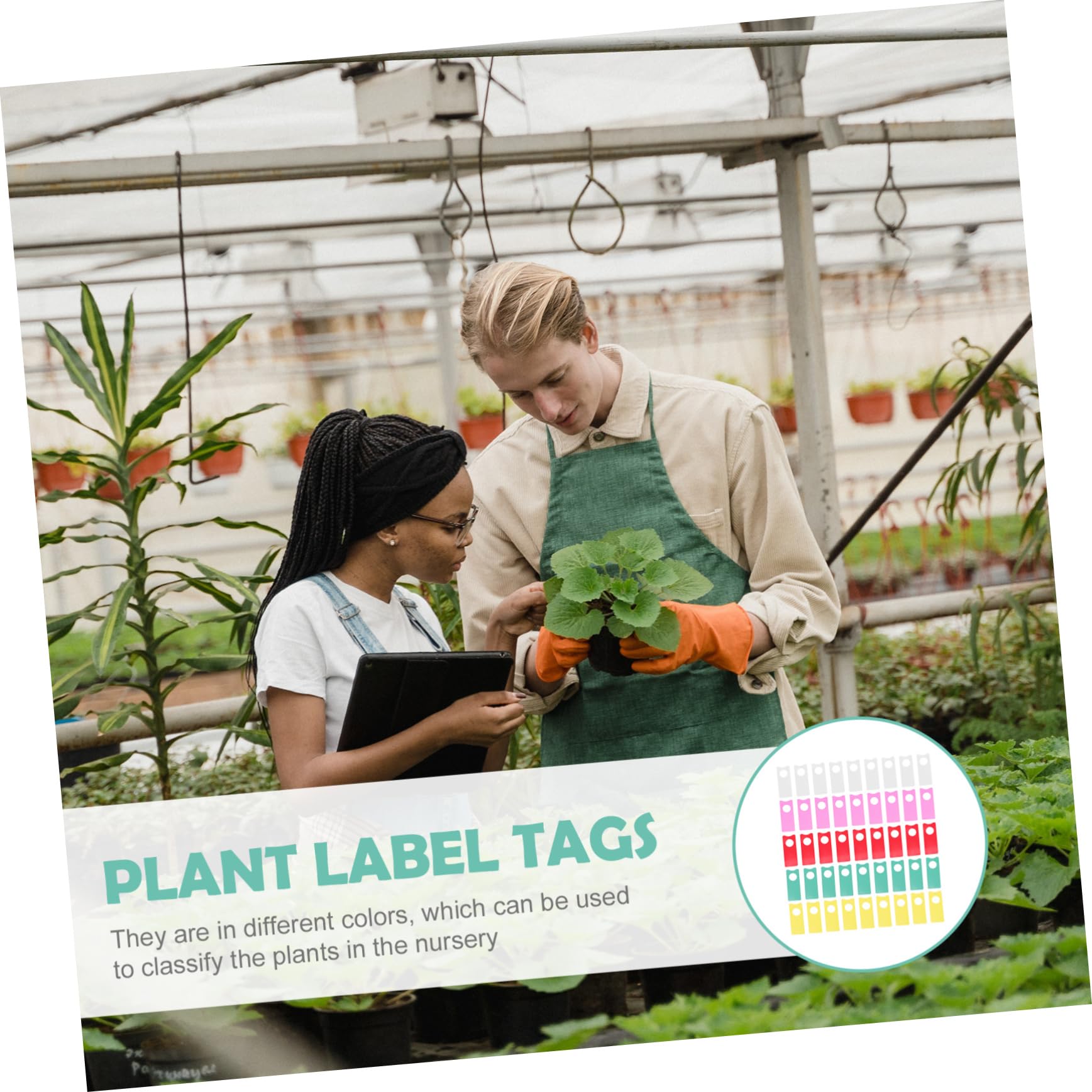 IWOWHERO 500Pcs Durable Plant Labels for Garden and Nursery Use for Plant Categorization and Decoration Portable and Easy to Use