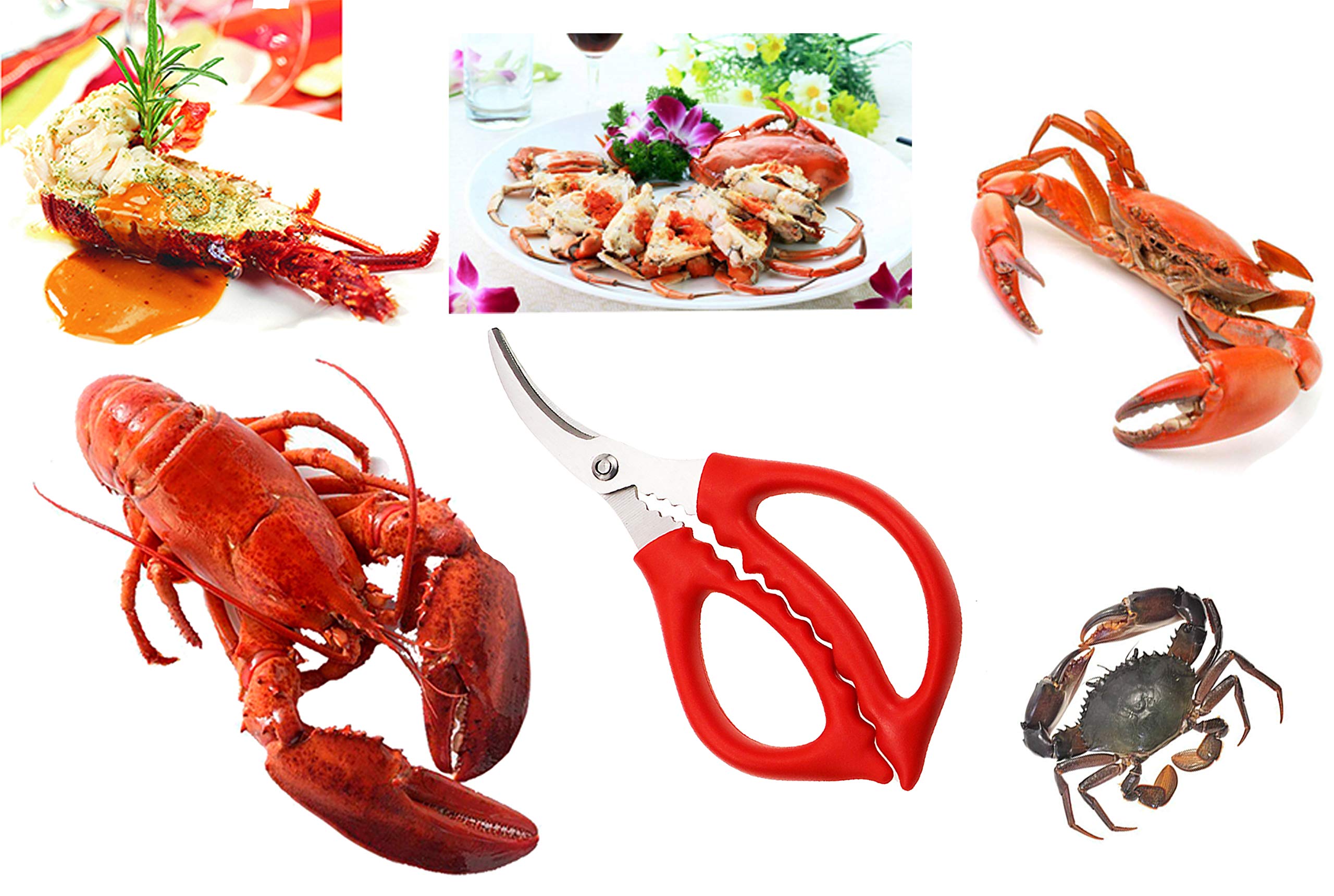 Juego de 6 tijeras de marisco y tenedores de langosta para cocina, mariscos, pescado, cangrejo y camarones