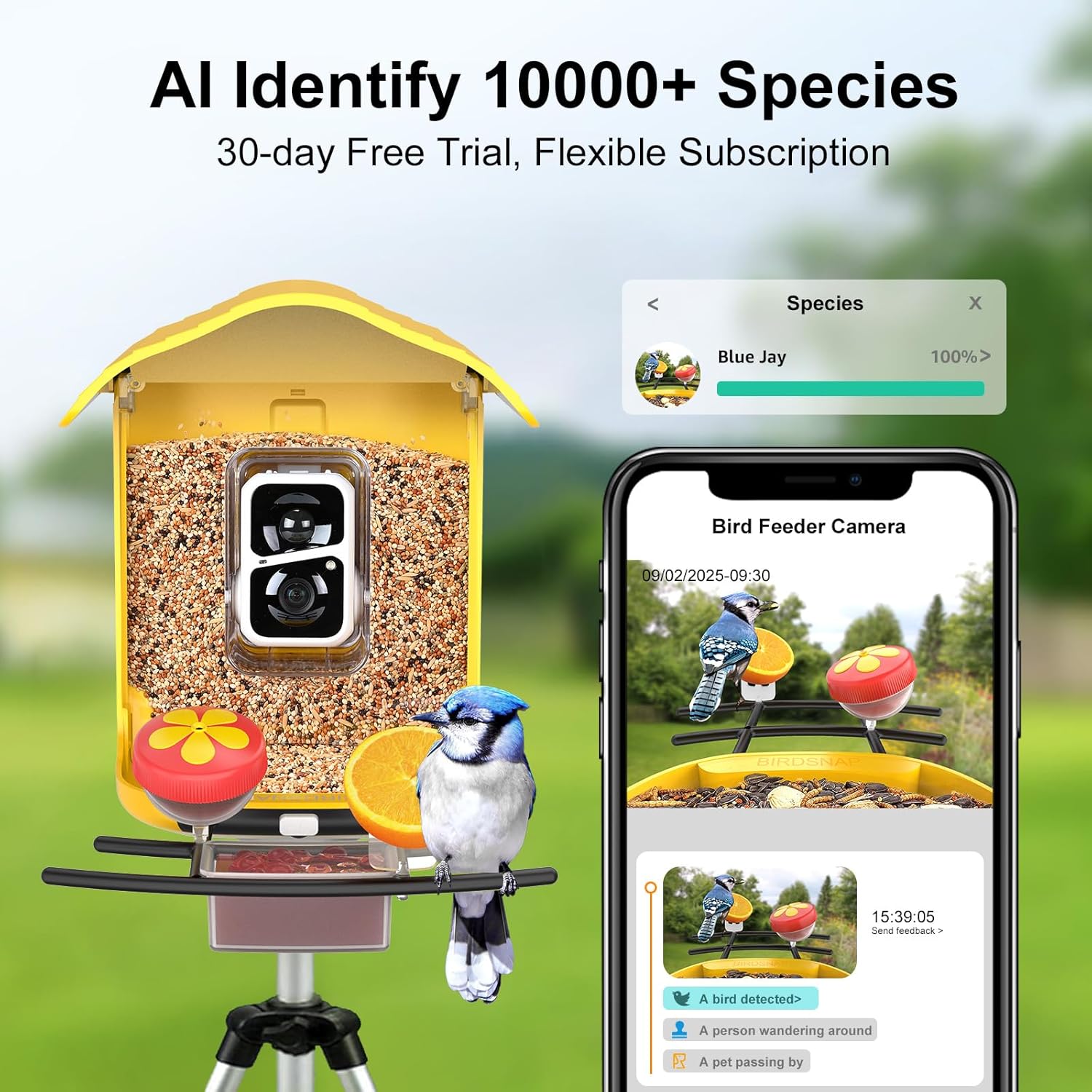 birdsnap® pav-bird feeder with camera,2k hd with 64gb card, ai identify smart bird house cam solar panel,live stream,motion detection,auto record video for backyard outdoors,ideal gift for bird lover dark yellow