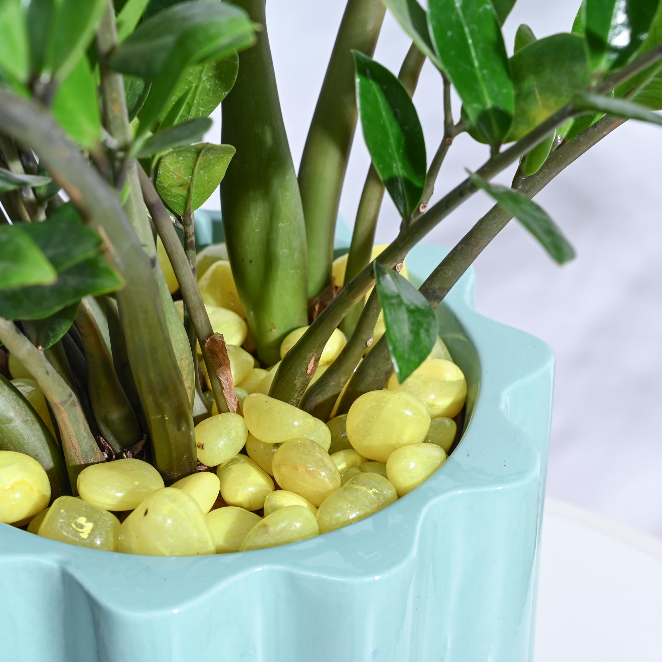 Yellow Polished Pebbles - Garden Decor & Plant Pots -4 Yellow Polished Pebbles - Garden Decor & Plant Pots -4