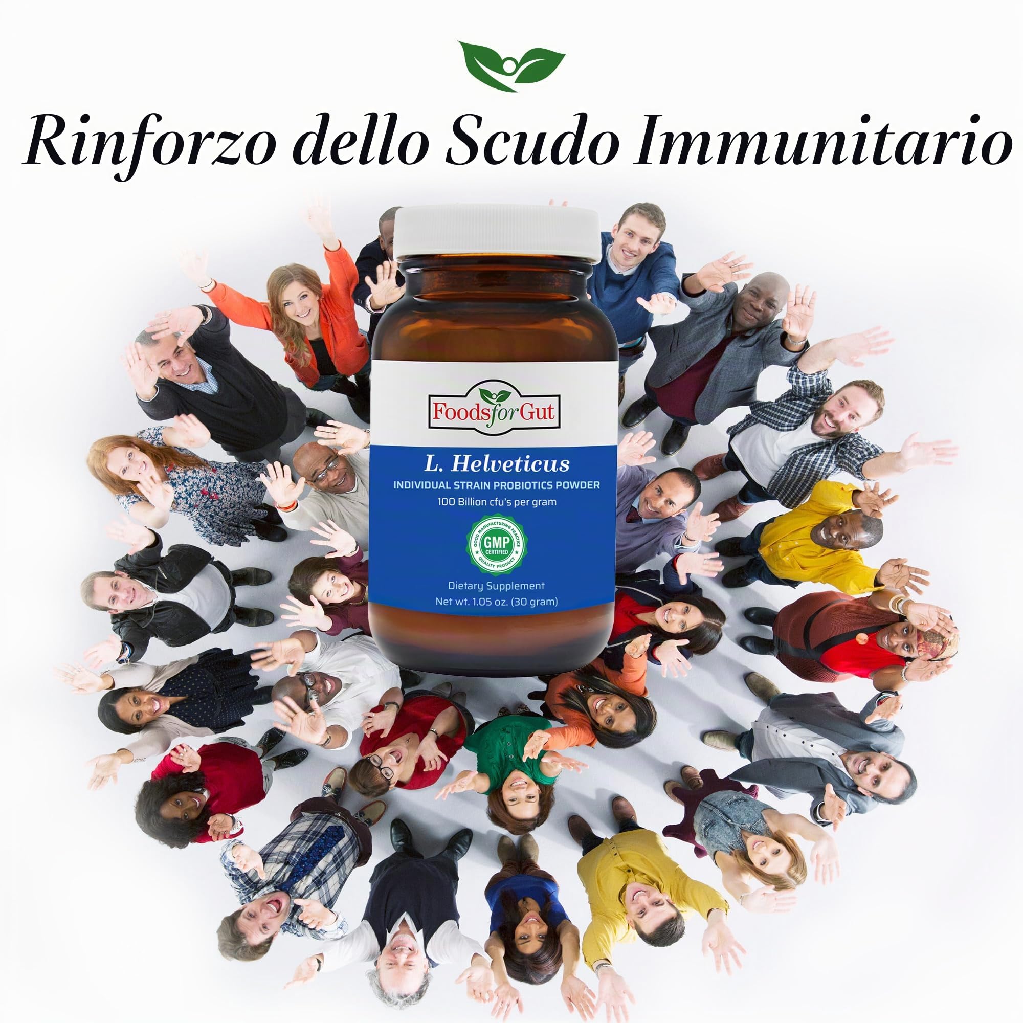 Foods For Gut Lactobacillus Helveticus Probiotic Powder 100 Billion cfu's | No Additives | Digestive & Immune Support | High Potency | L. Helveticus | 30 Grams (1.05 Oz)