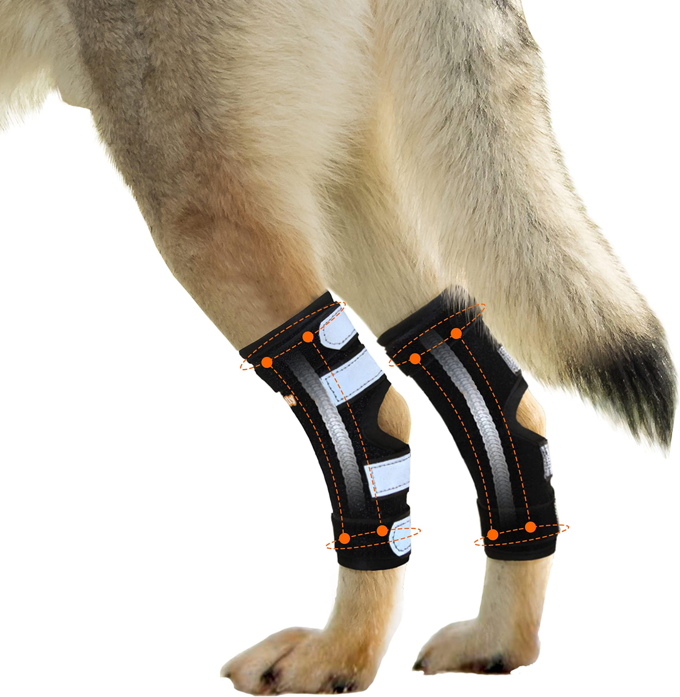 NeoAlly - Rear Leg Hock Brace with Metal Spring Strips, Dog Leg Brace for Rear Leg, Hock & Ankle Support, Rear Dog Leg Brace for Large Dogs, Long. (Both Legs, Large)