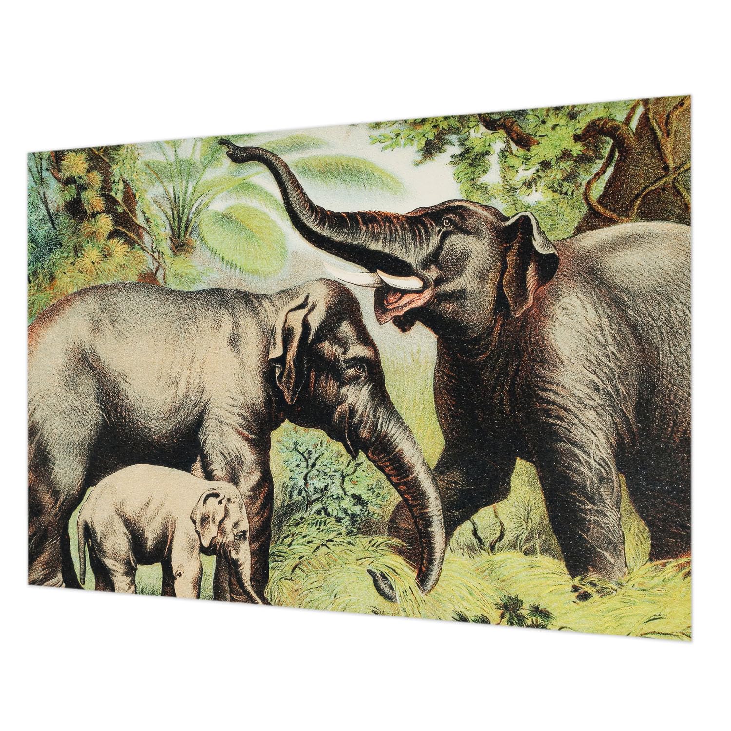 Tapisserie intissée éléphants pour salon et chambre chaleureuse