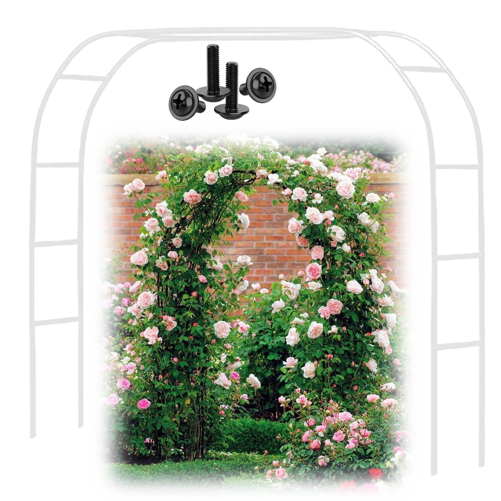 Wytrzymały Łuk Ogrodowy Ze Stali Ocynkowanej, Pergola Metalowa Odporna Na Warunki Atmosferyczne, Stelaż Na Róże I Bluszcz, 120cm 140cm 160cm 180cm Czarny Biały Zielony(Biały,300cm X 220cm)