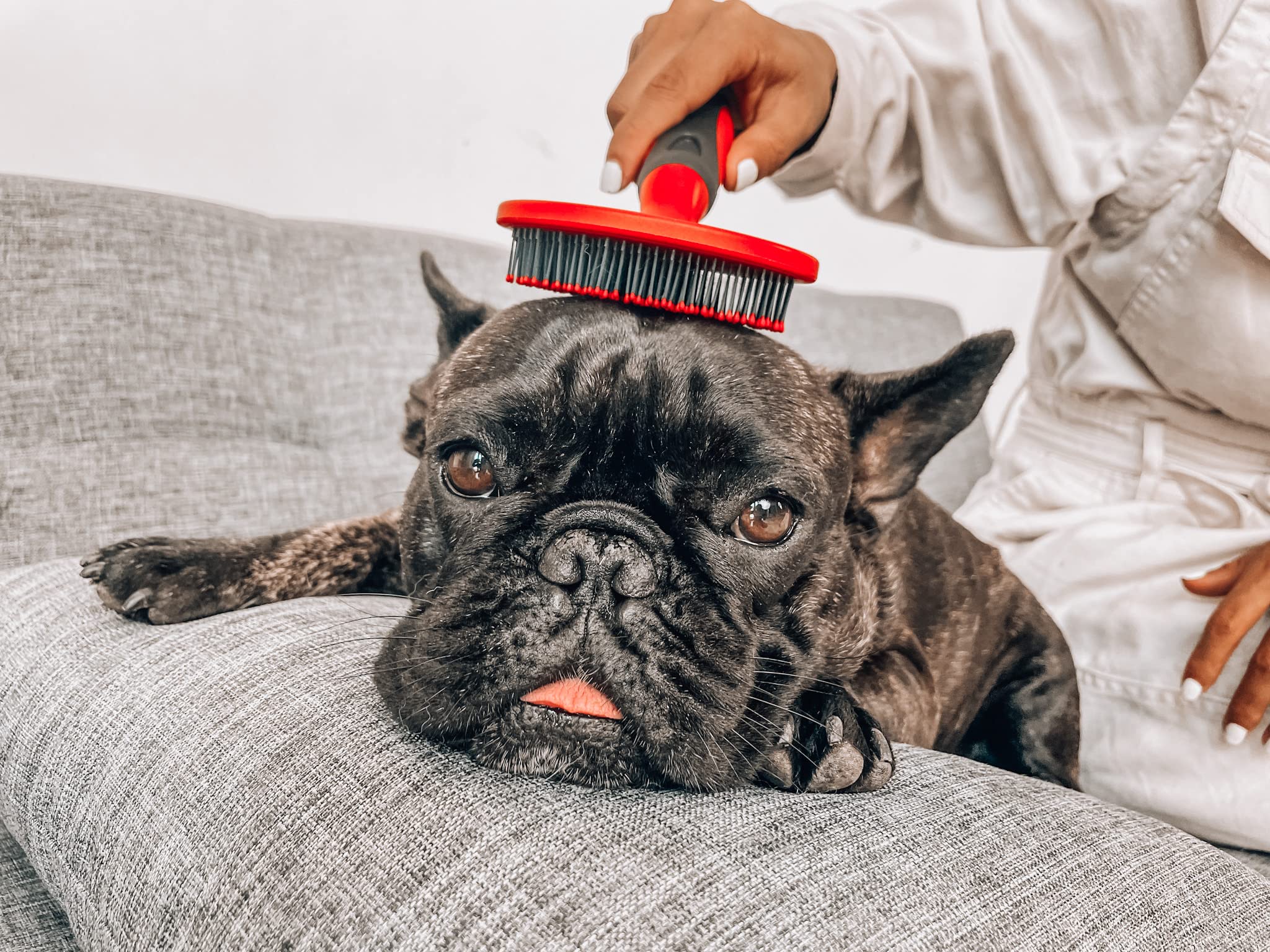 Cepillo ergonómico para cobertizo de perros | Cepillo de pelo de gato - Cepillo para cobertizo de gatos | Gran cepillo para desenredar para perros | Adecuado para todas las mascotas con pelo largo o